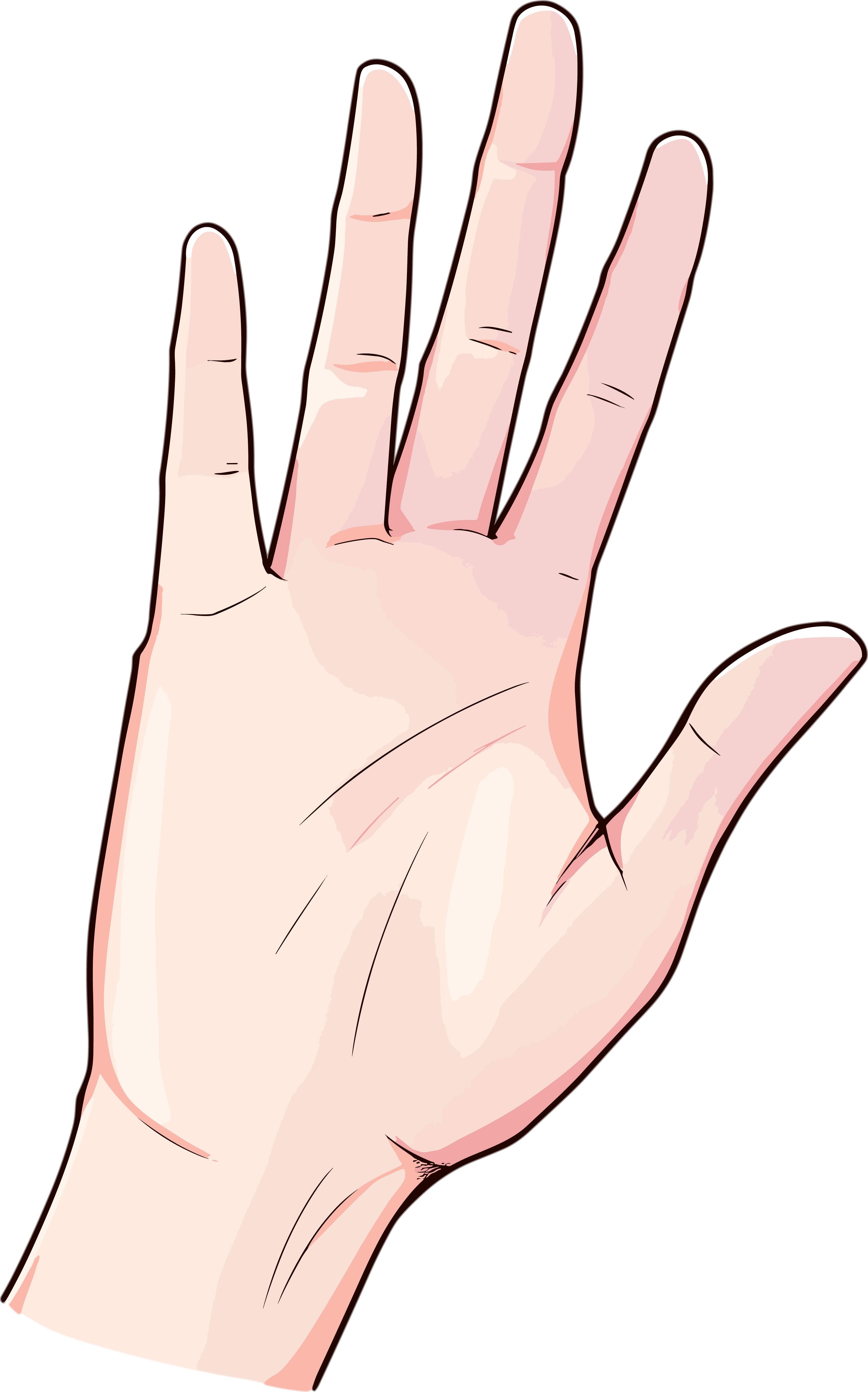 Cartoon hand-drawn illustration materials