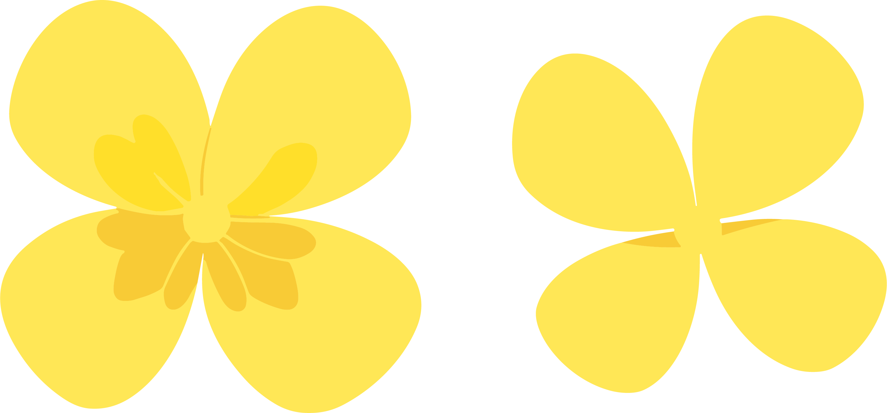Petals as commercial design elements
