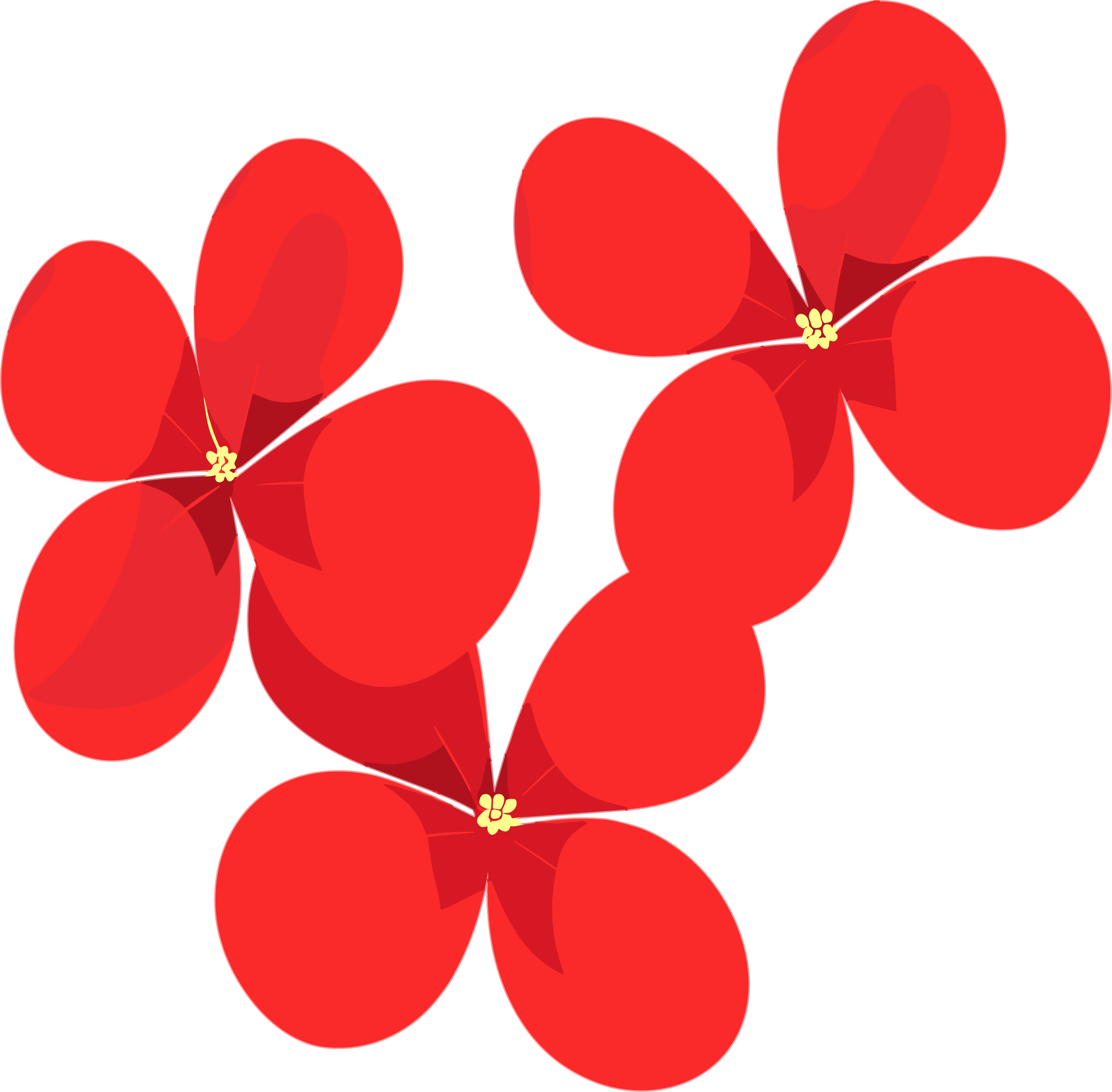 Petal illustration design materials