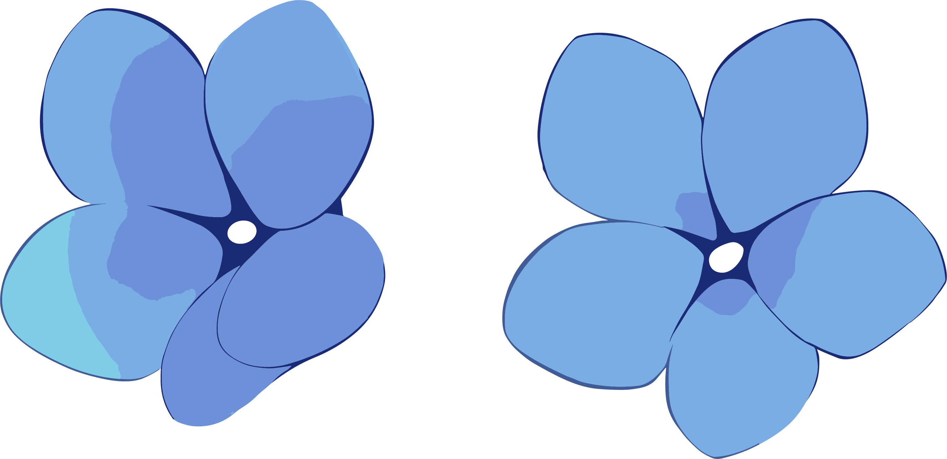 Petal Creative Design Illustration