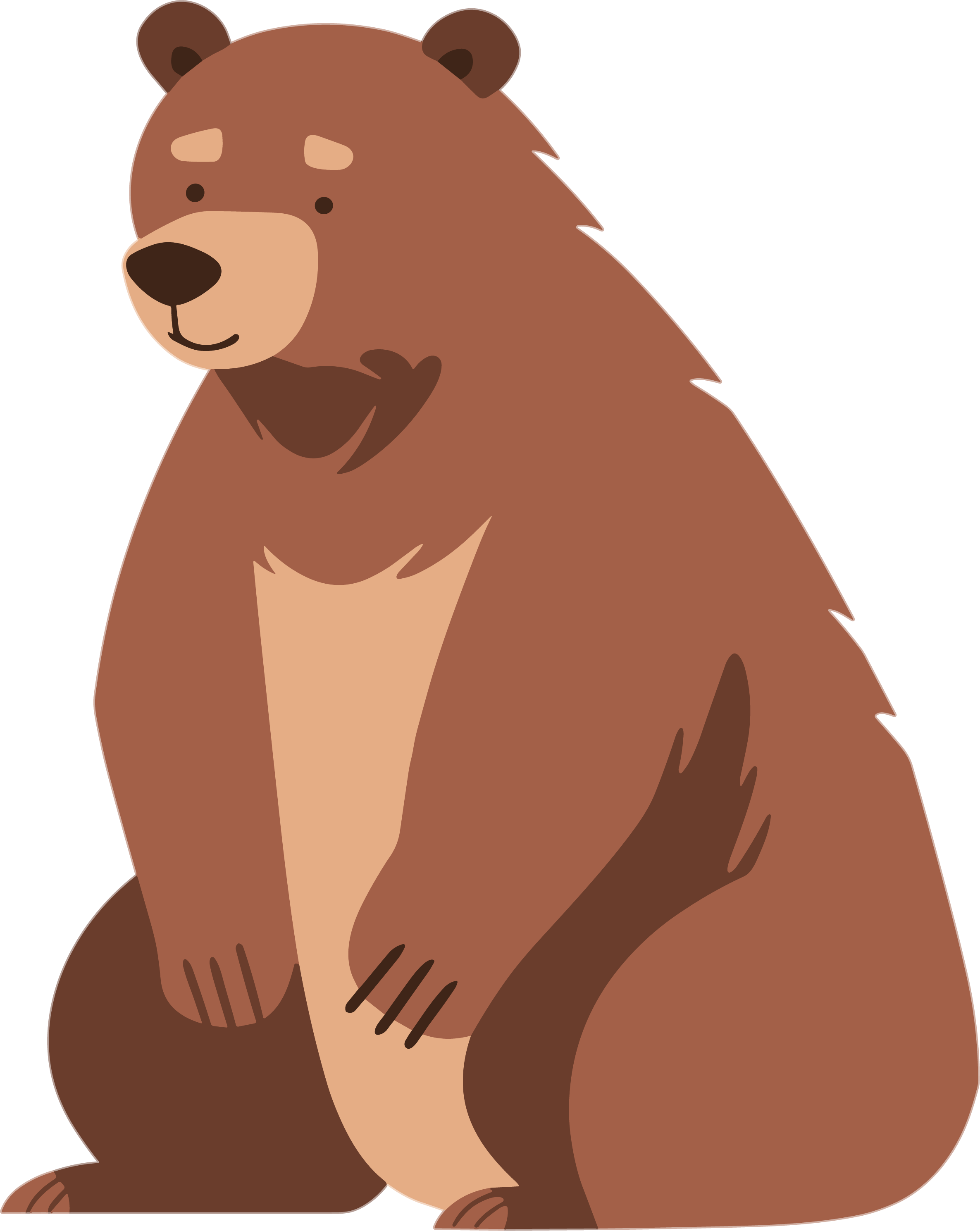 Cartoon bear hand-drawn animal material
