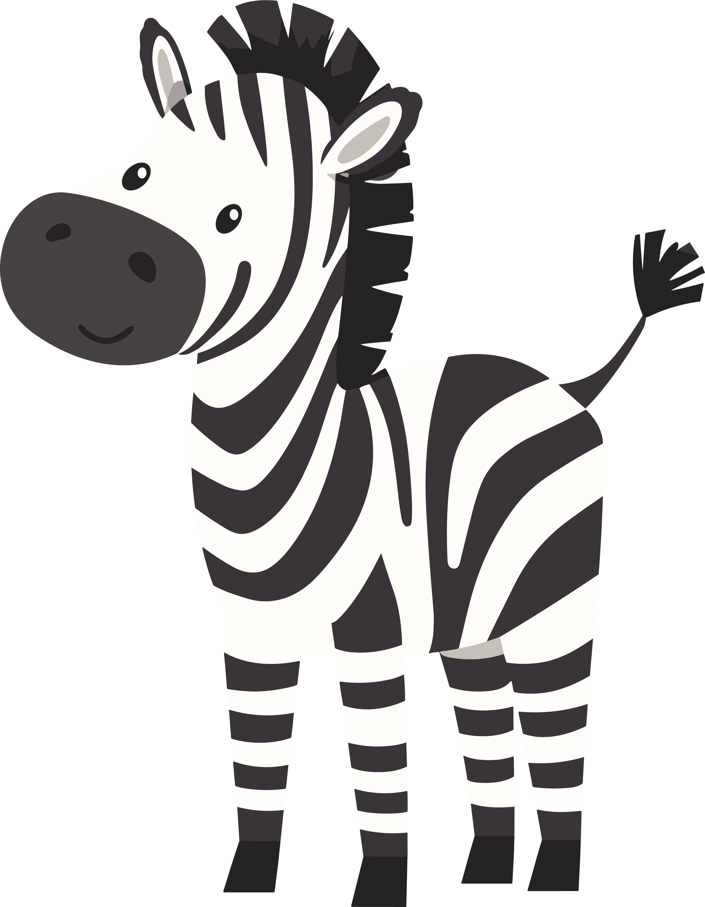 Cute Zebra Minimalist Material