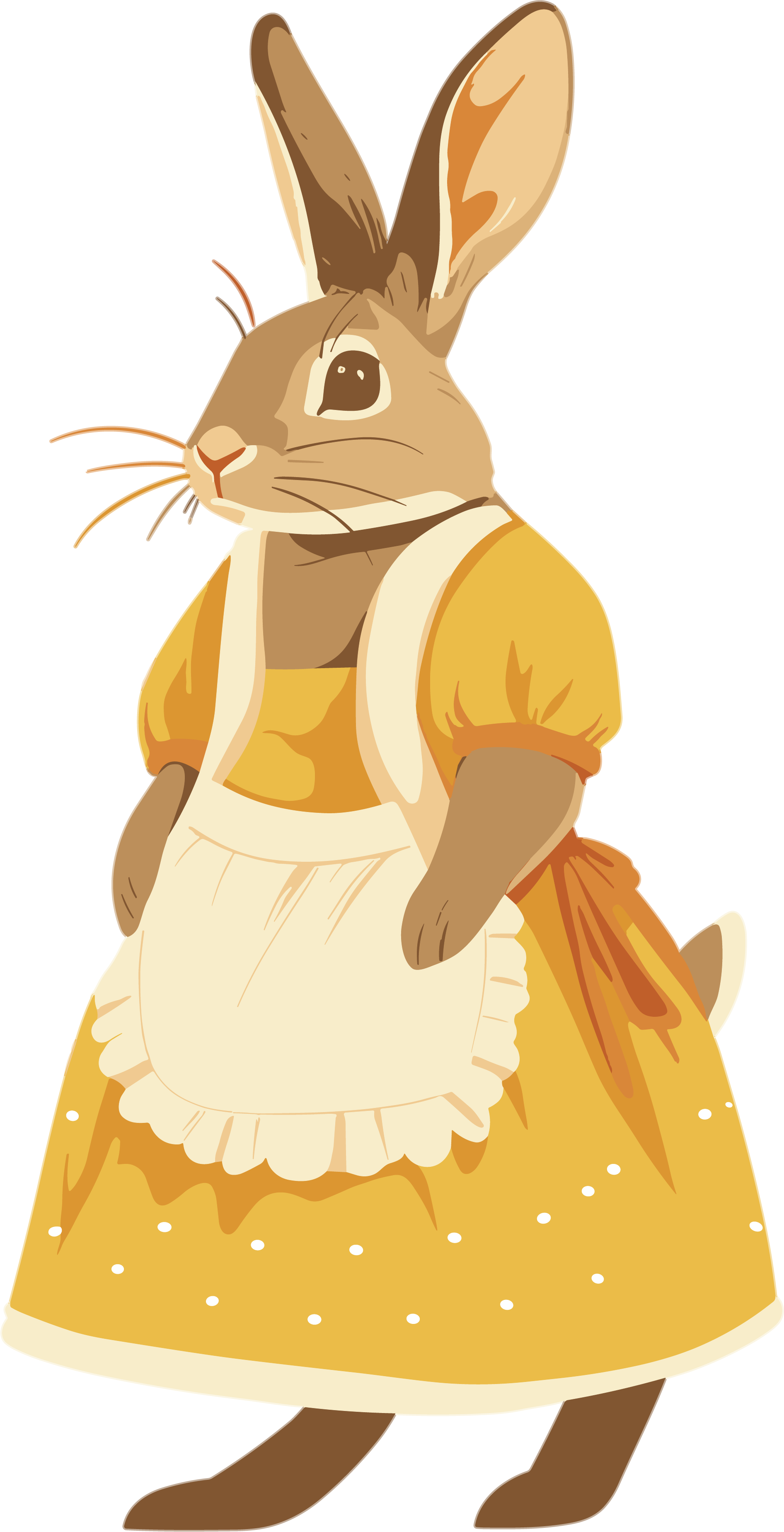Cartoon HD material of Rabbit Mom