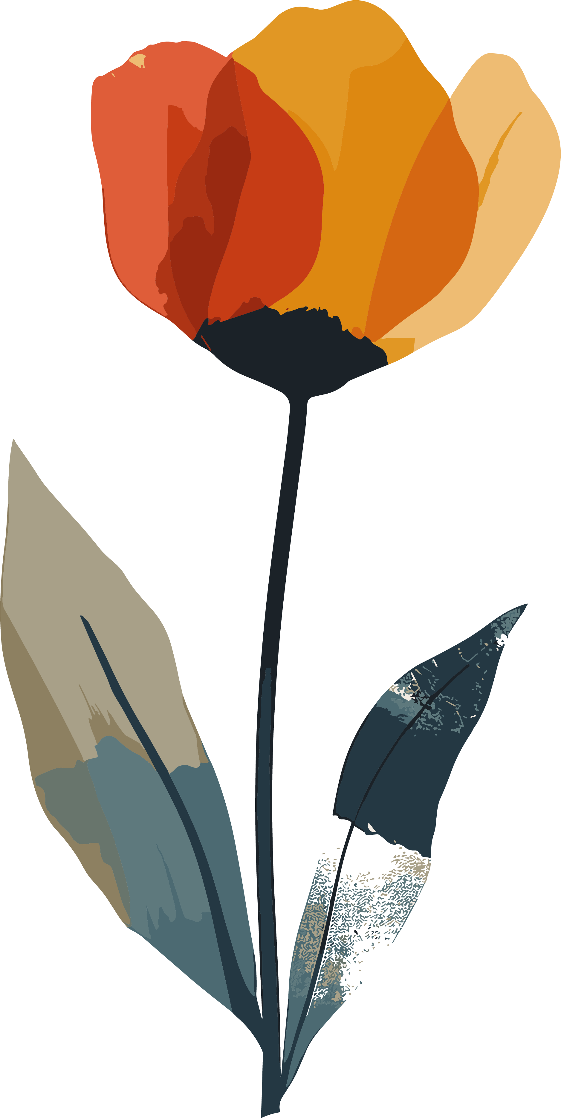 Abstract plant illustration materials