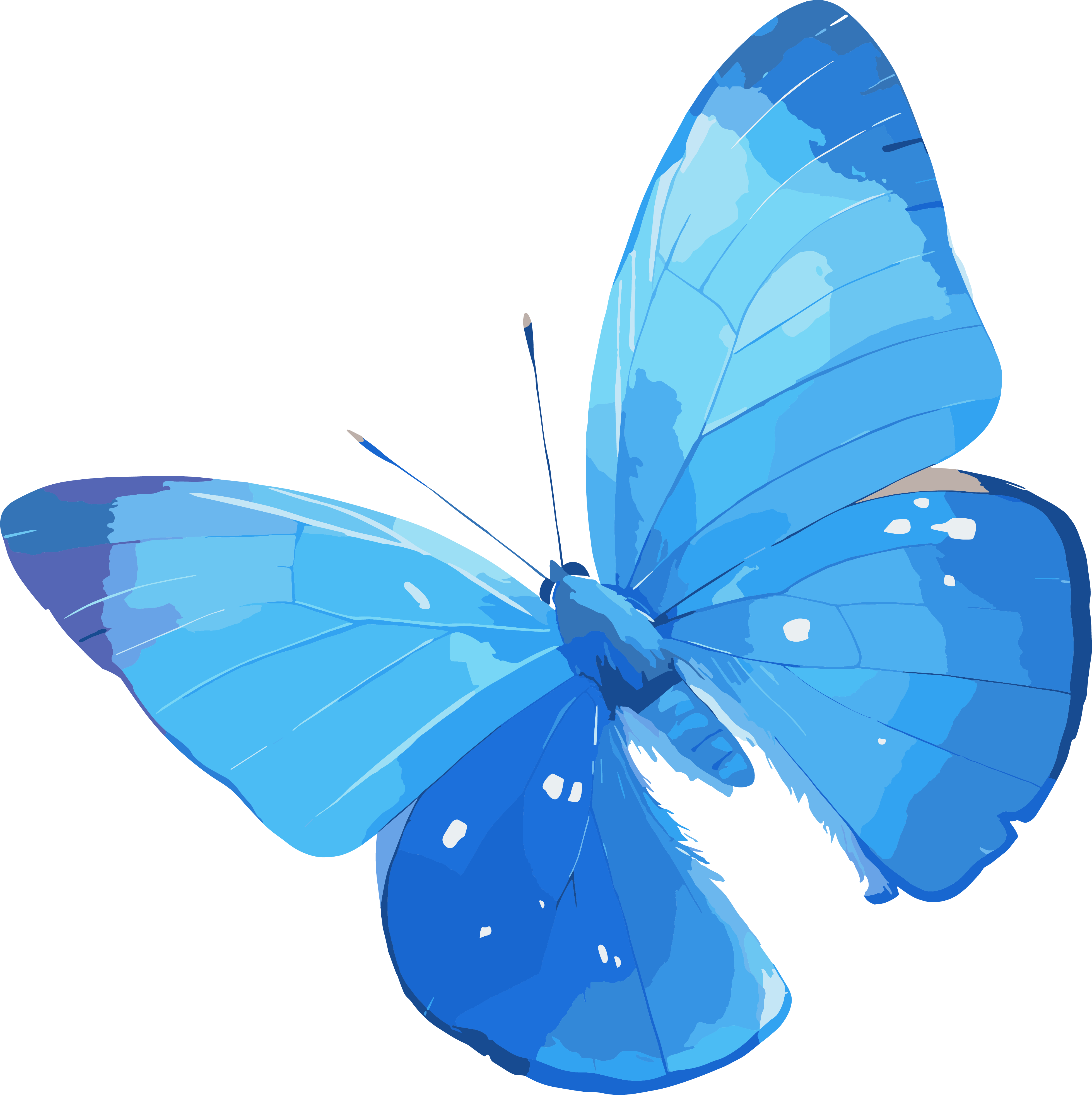 High-definition watercolor butterfly graphic material