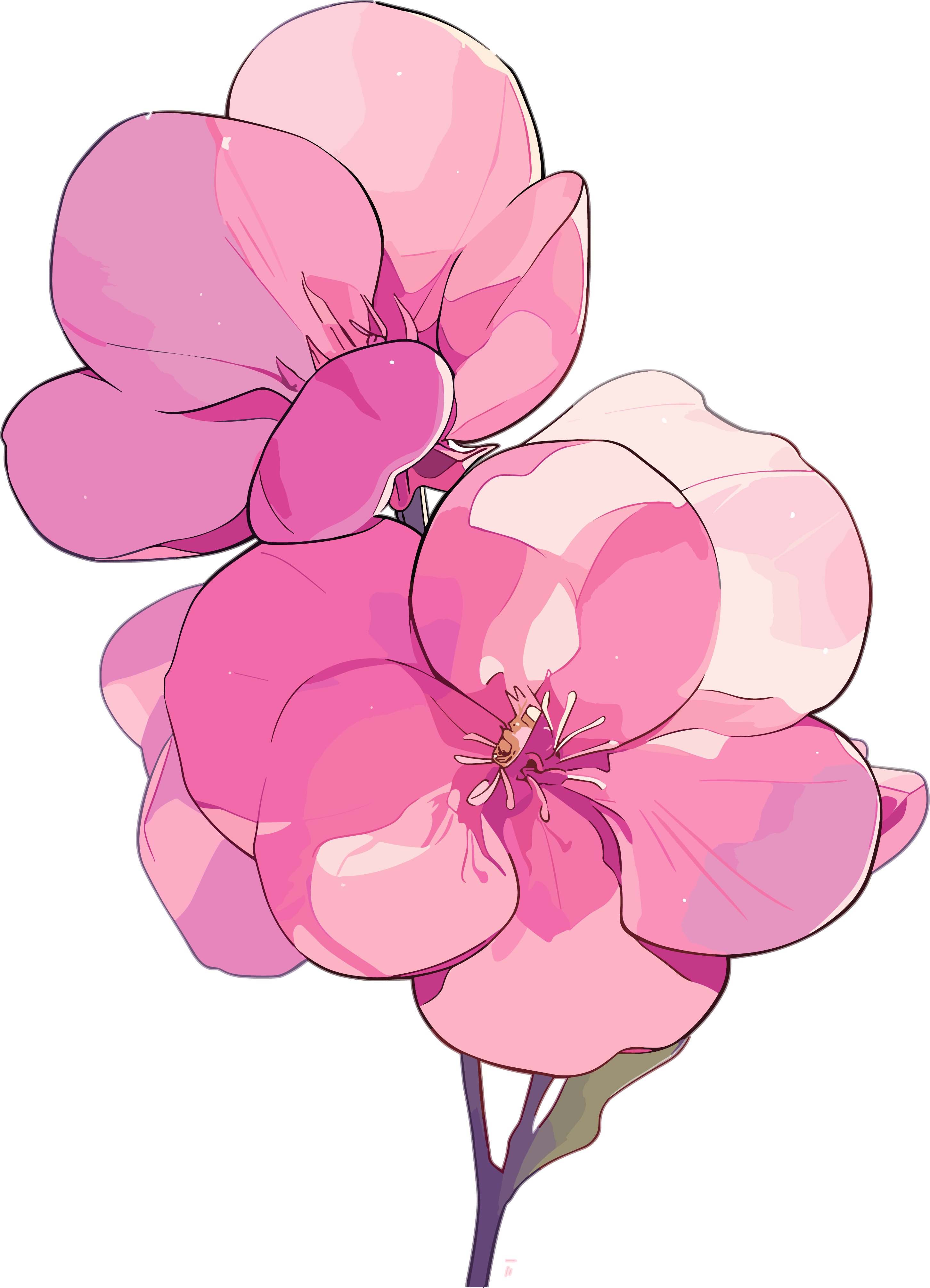Minimalist floral design materials