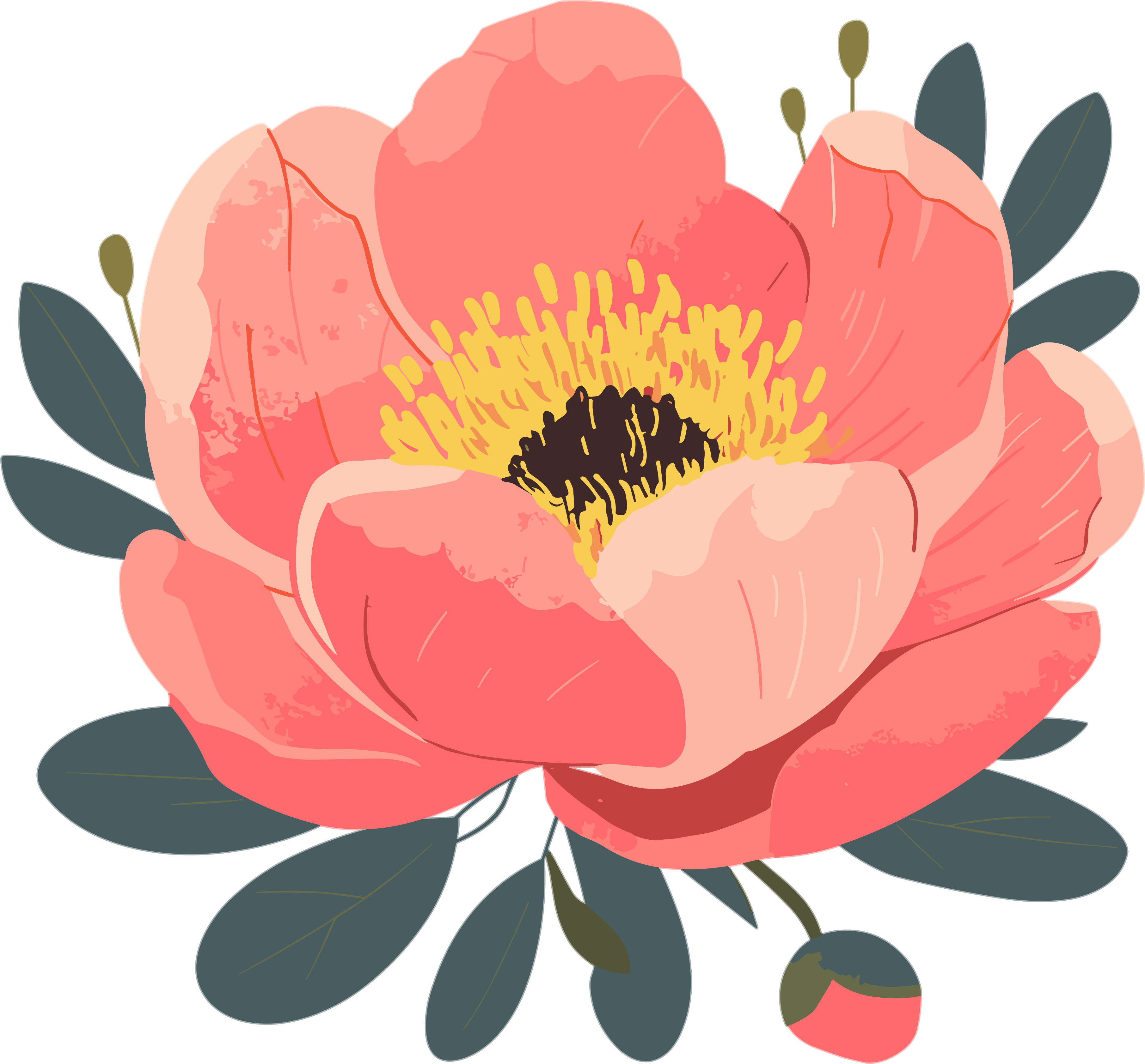 Minimalist Floral Exquisite Illustration