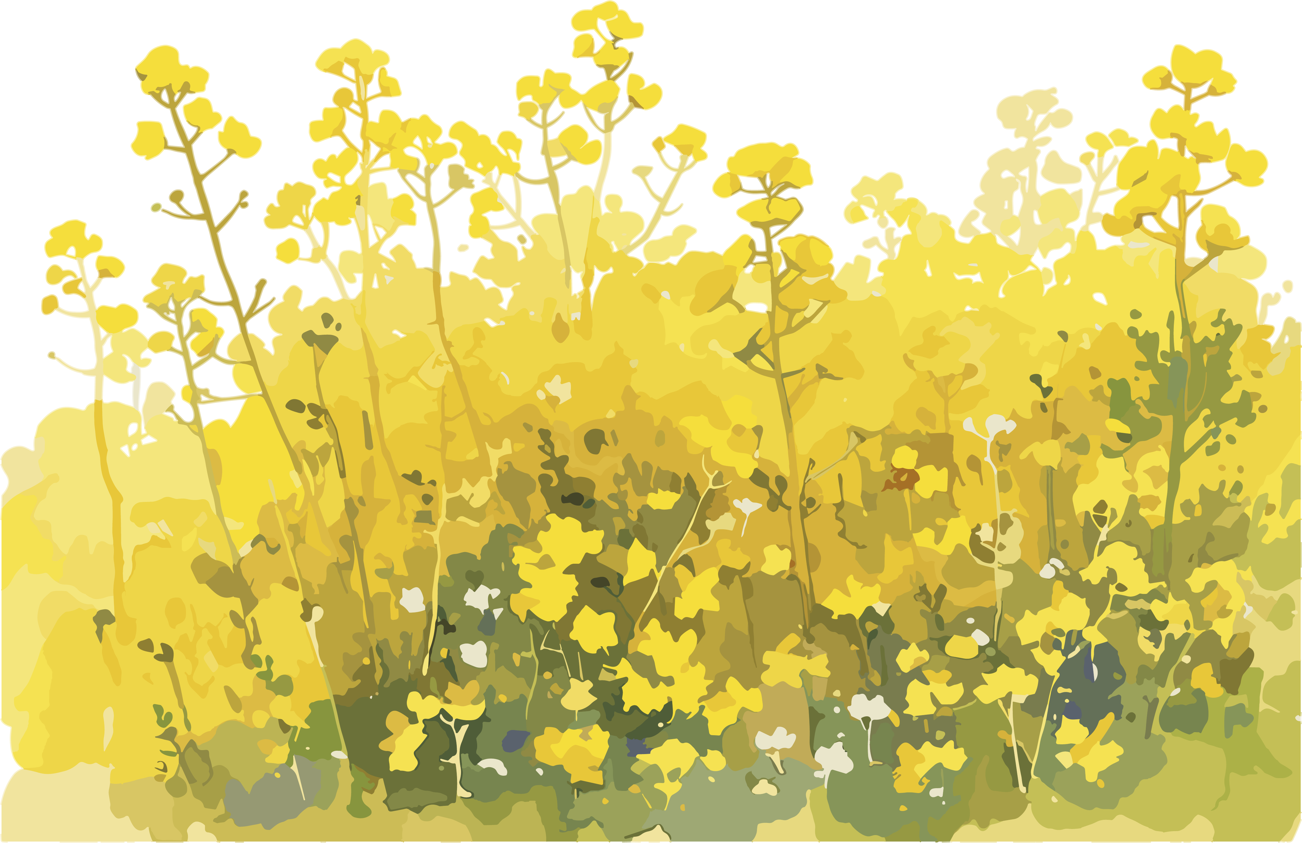 Simple design elements of rapeseed flower fields