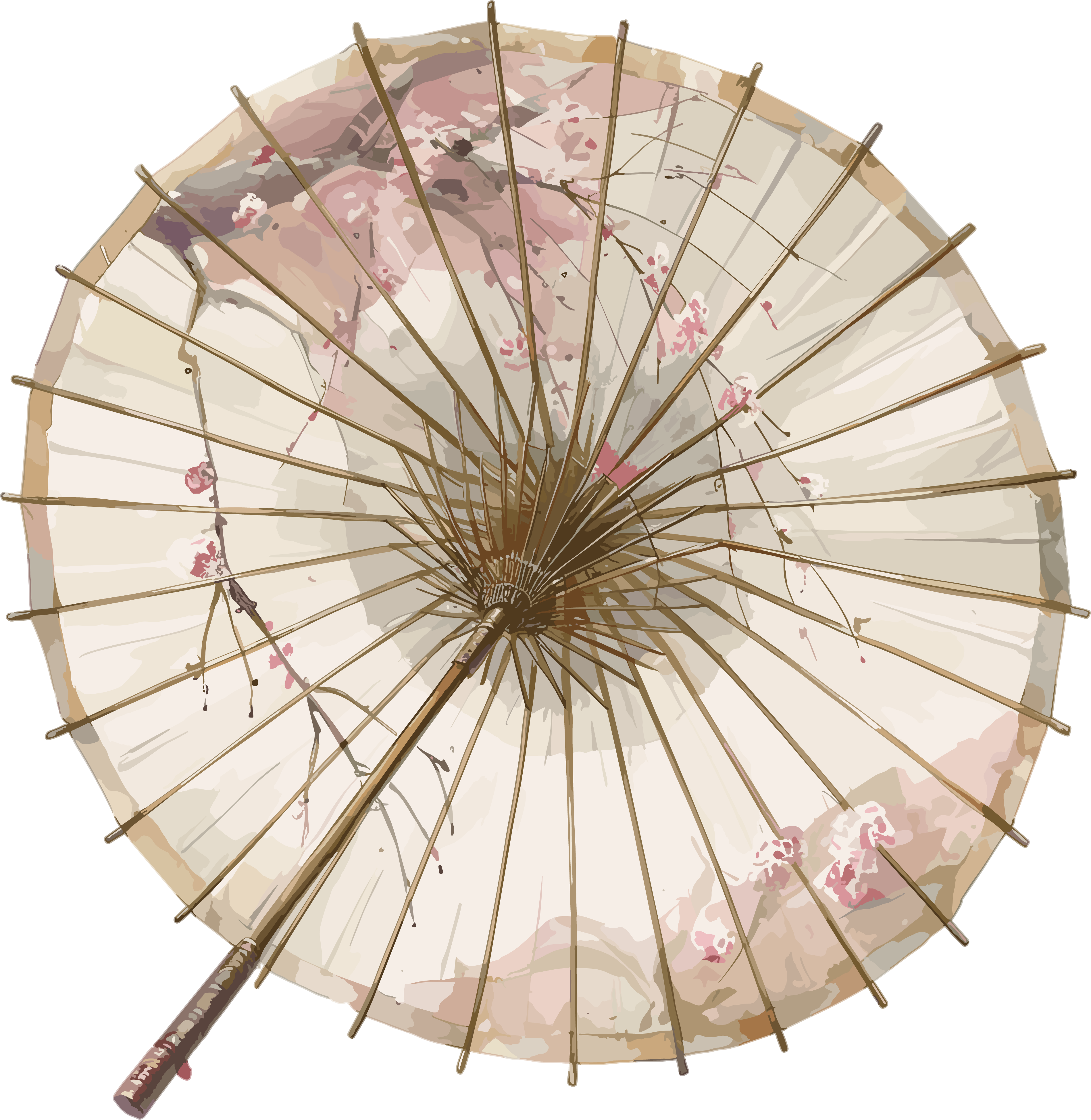 Oil paper umbrella transparent background material