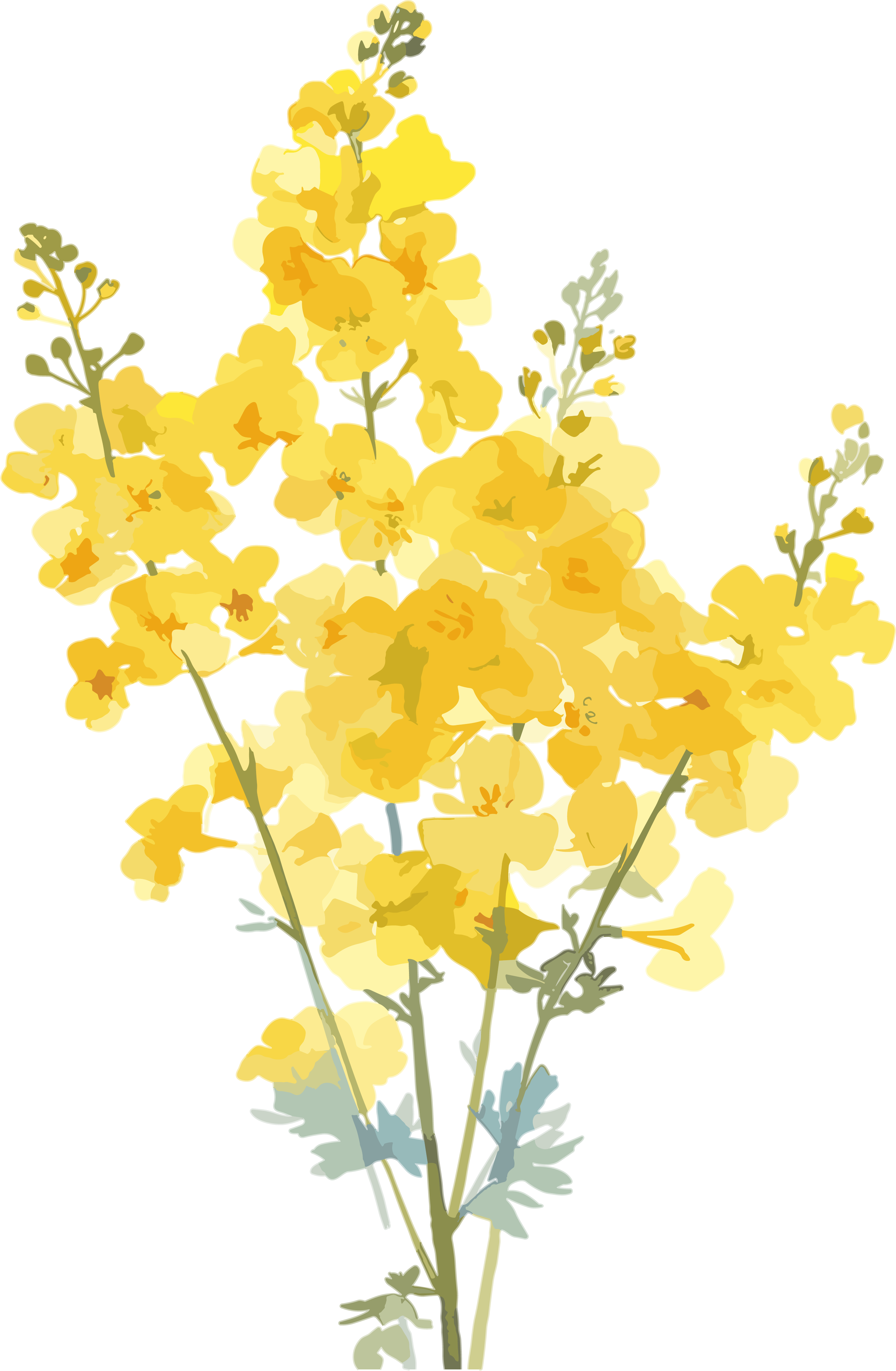 Rapeseed flower pattern material