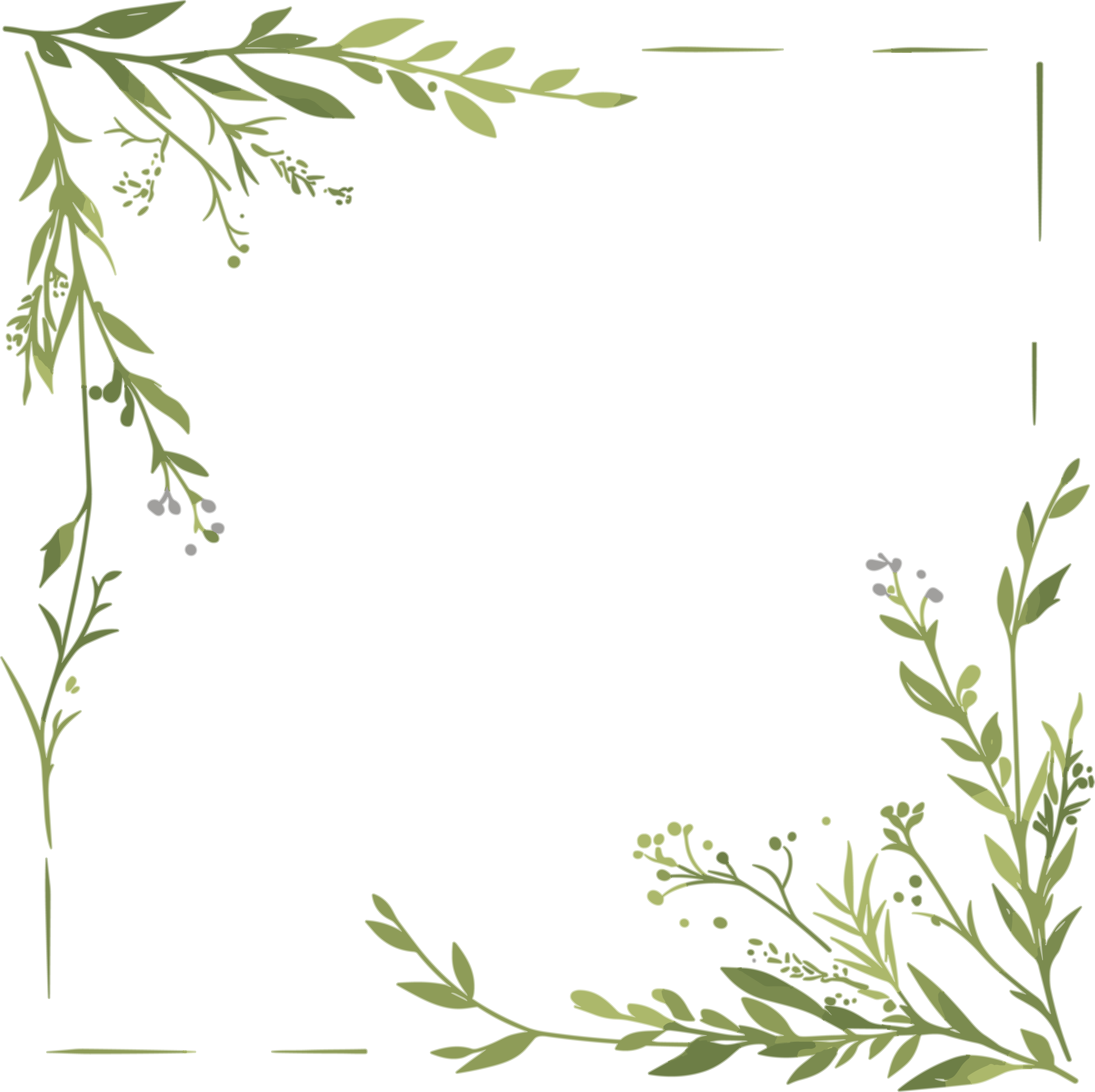 Simple illustration of a floral border