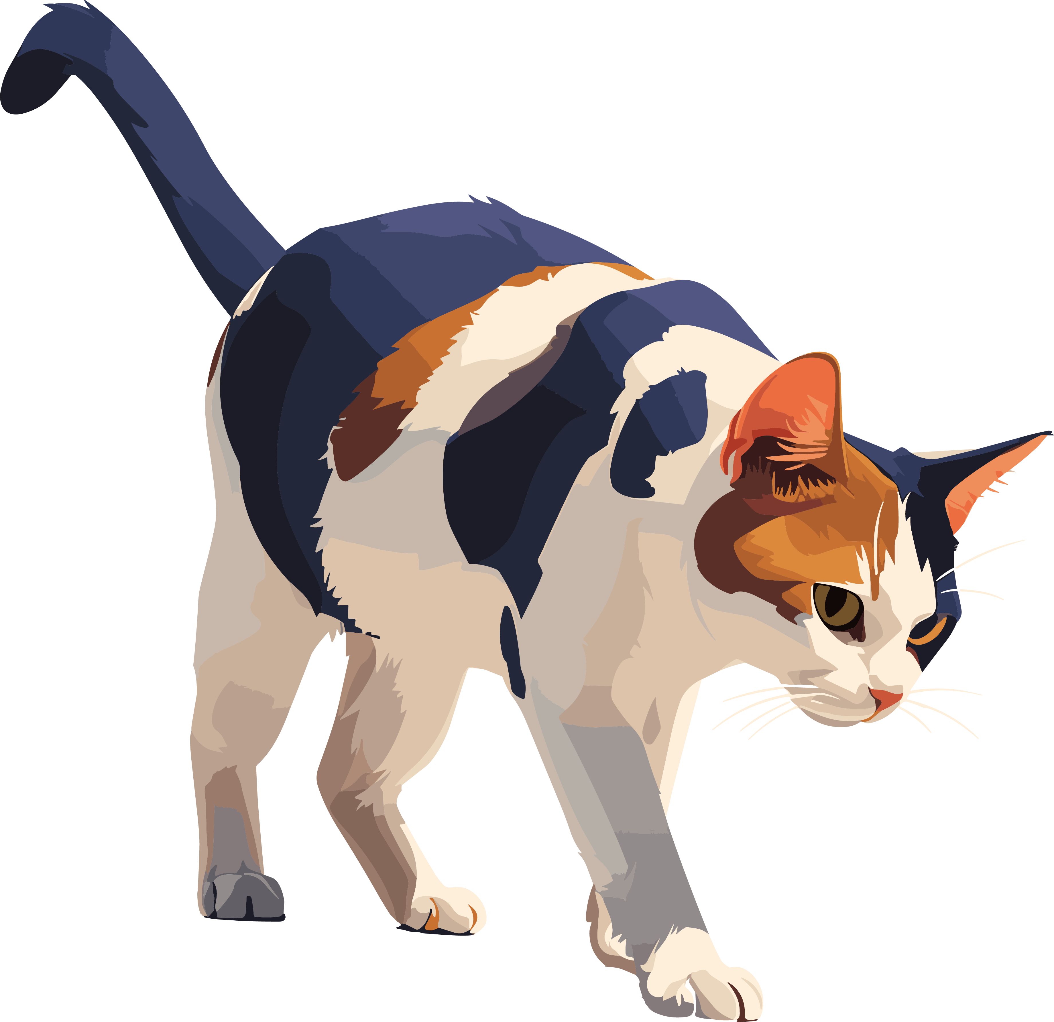 Cat PNG Commercial Material