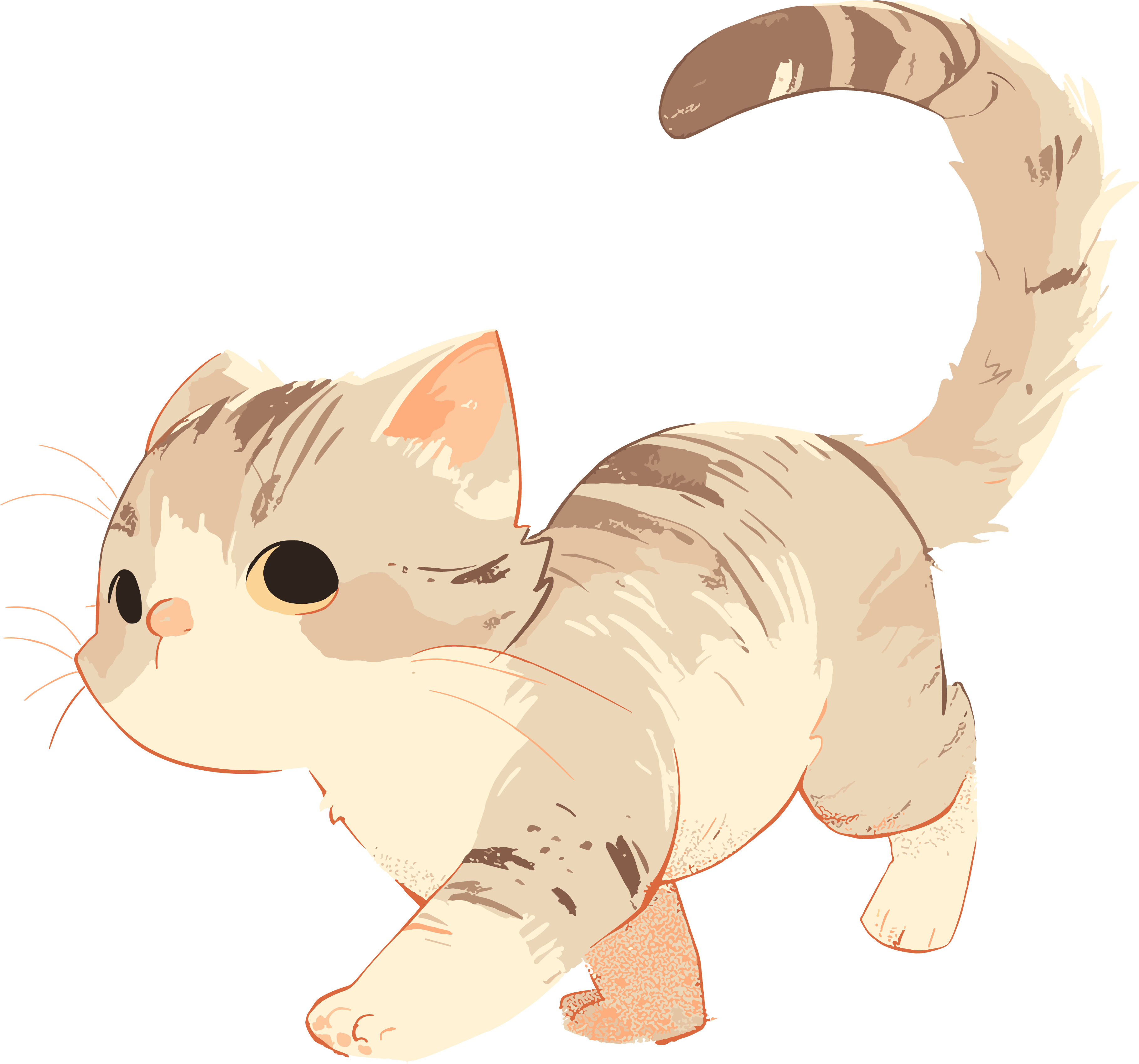Cat transparent background material