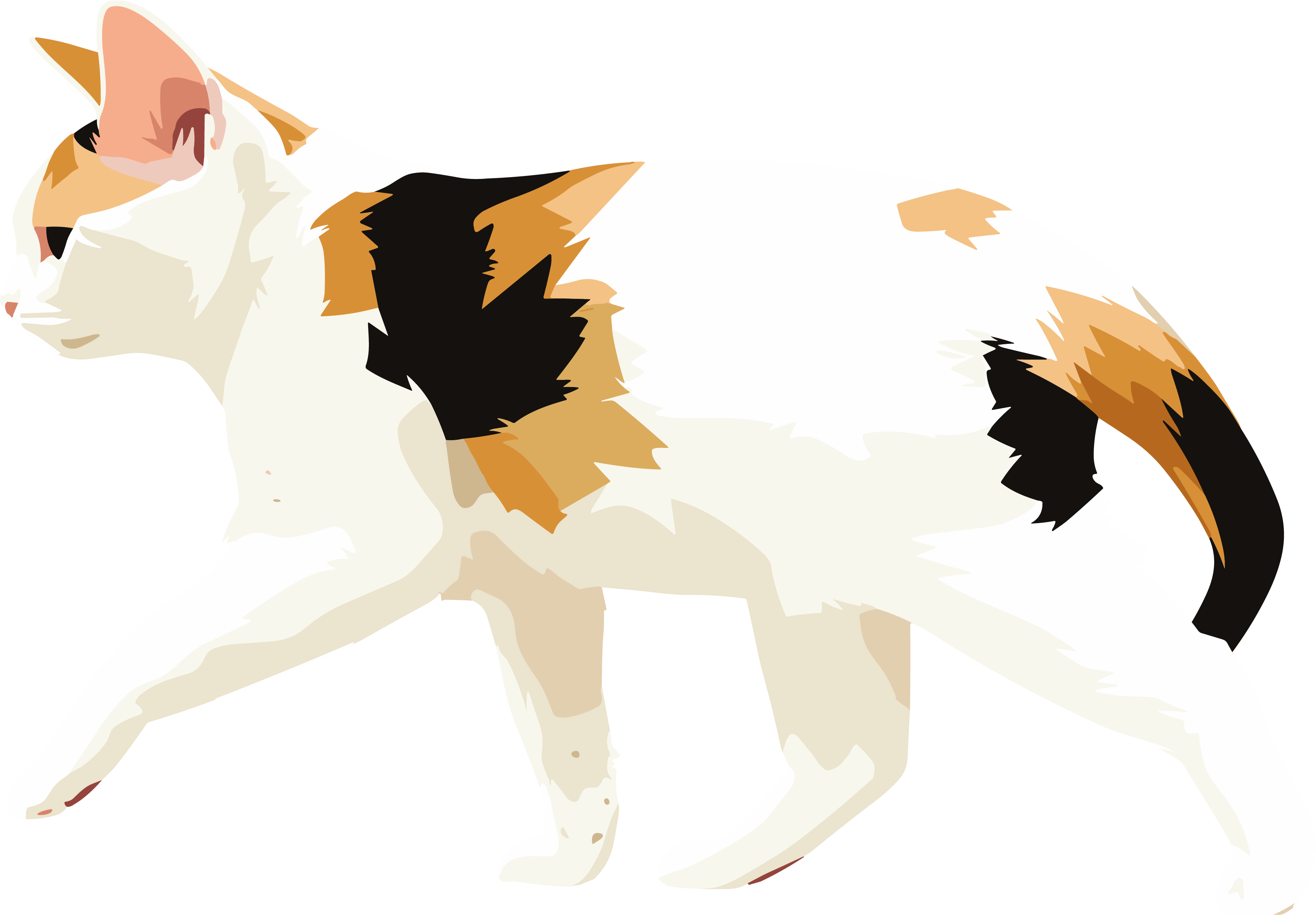 Cat graphic material