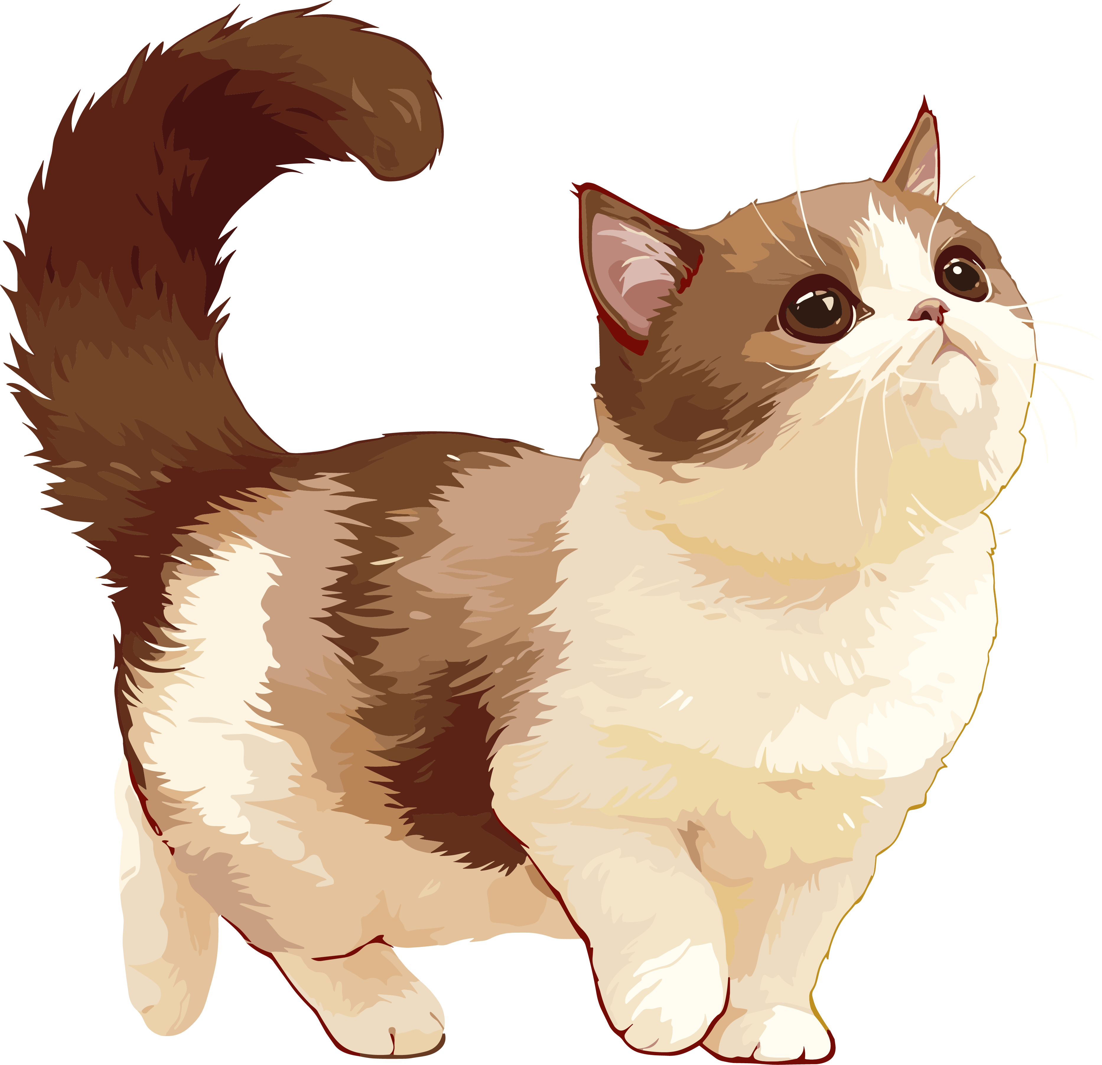 High-definition cat materials