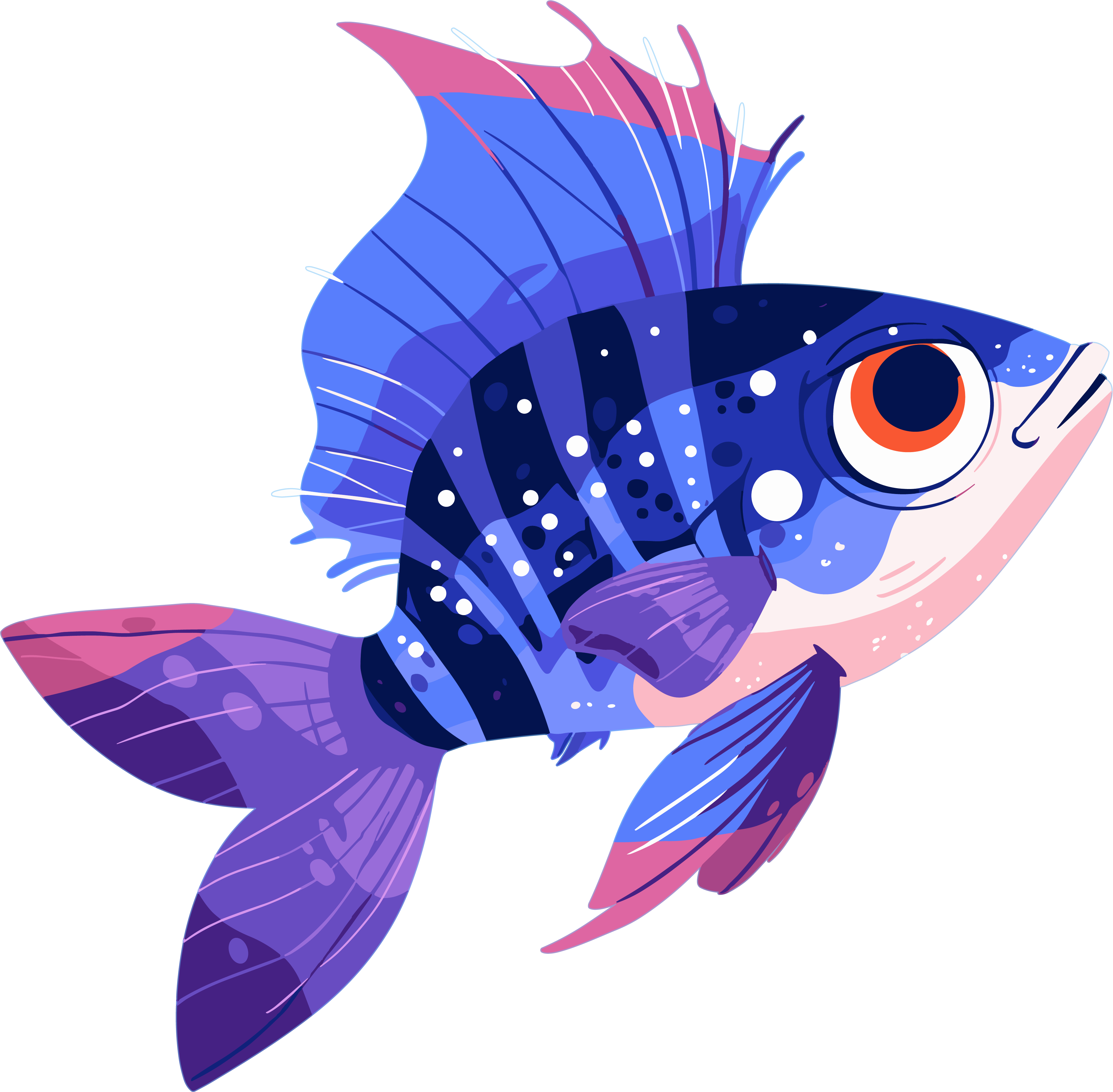 Marine fish illustration materials