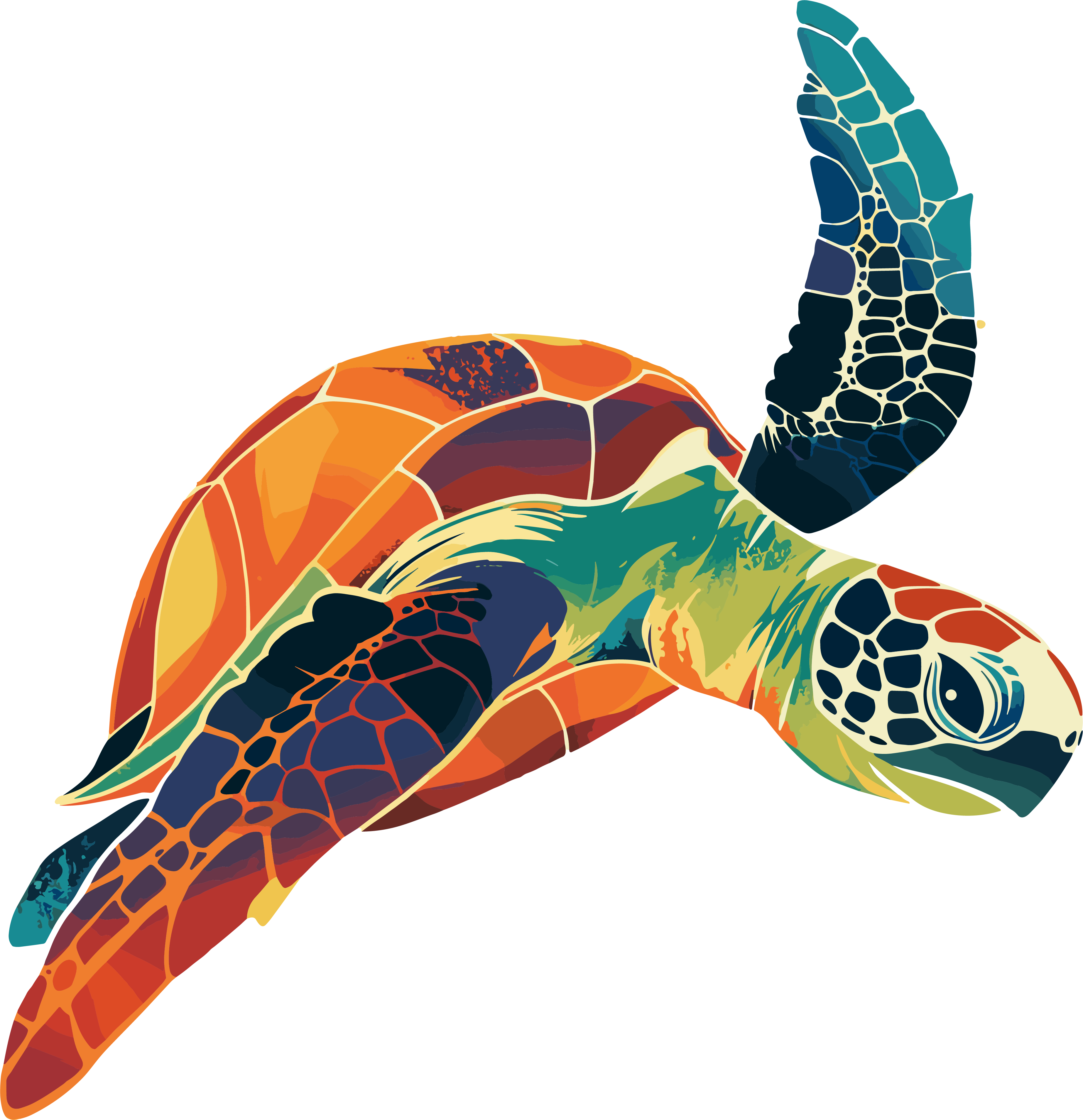 Beautiful illustration of ocean turtles