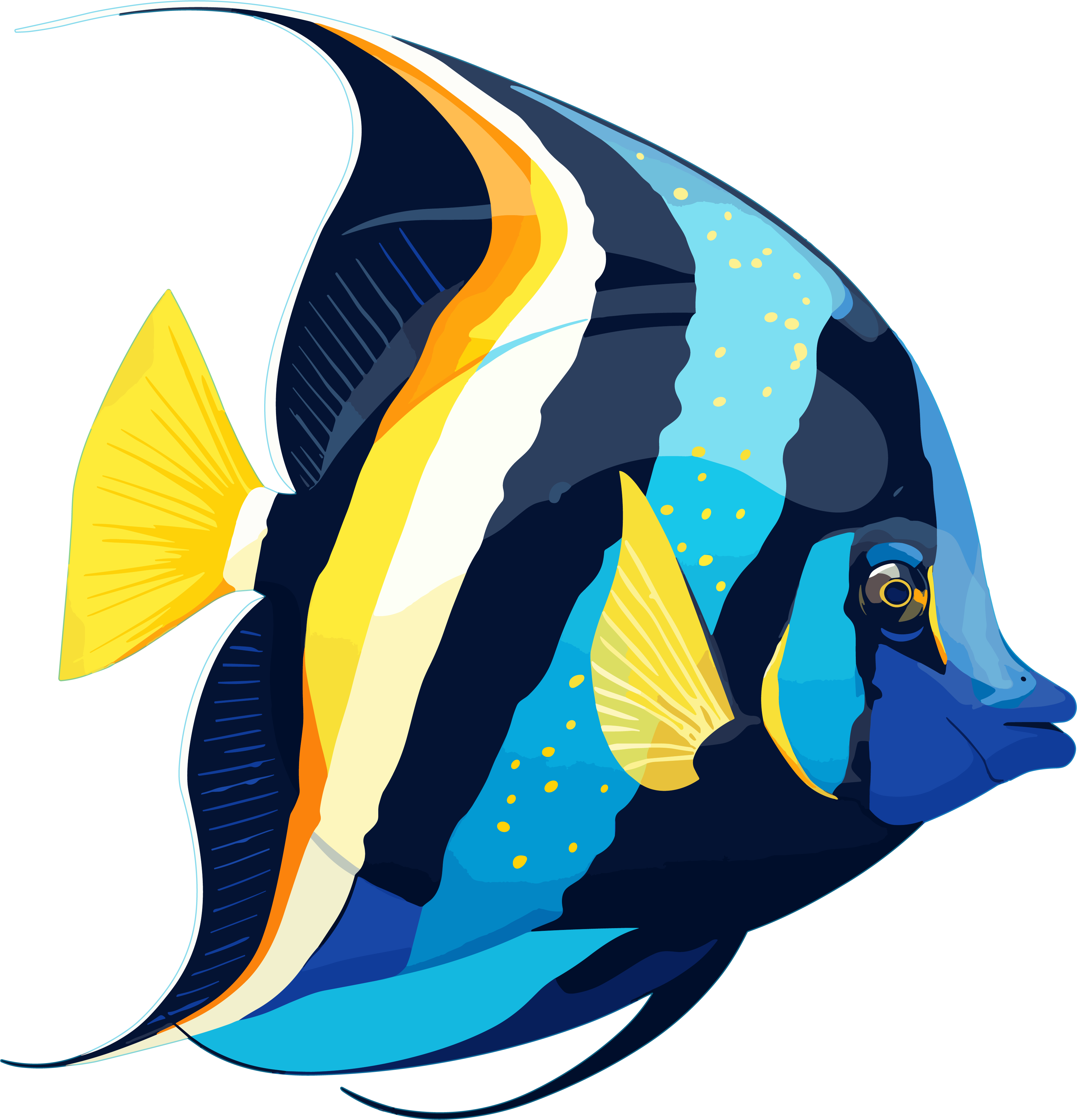 Illustration design elements of marine fish