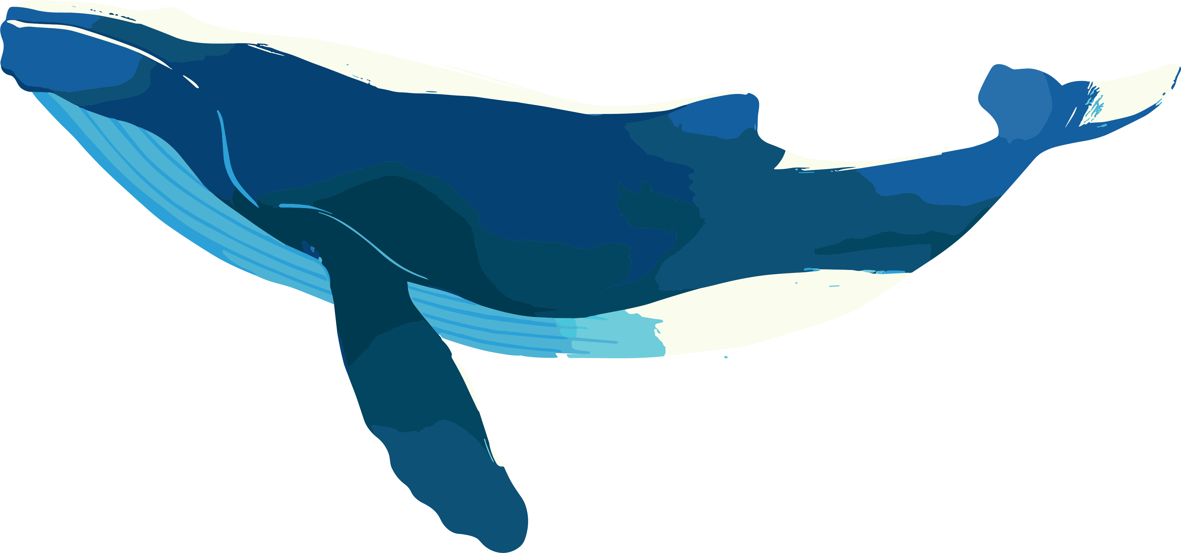 Simple and Beautiful Illustration of Ocean Whales