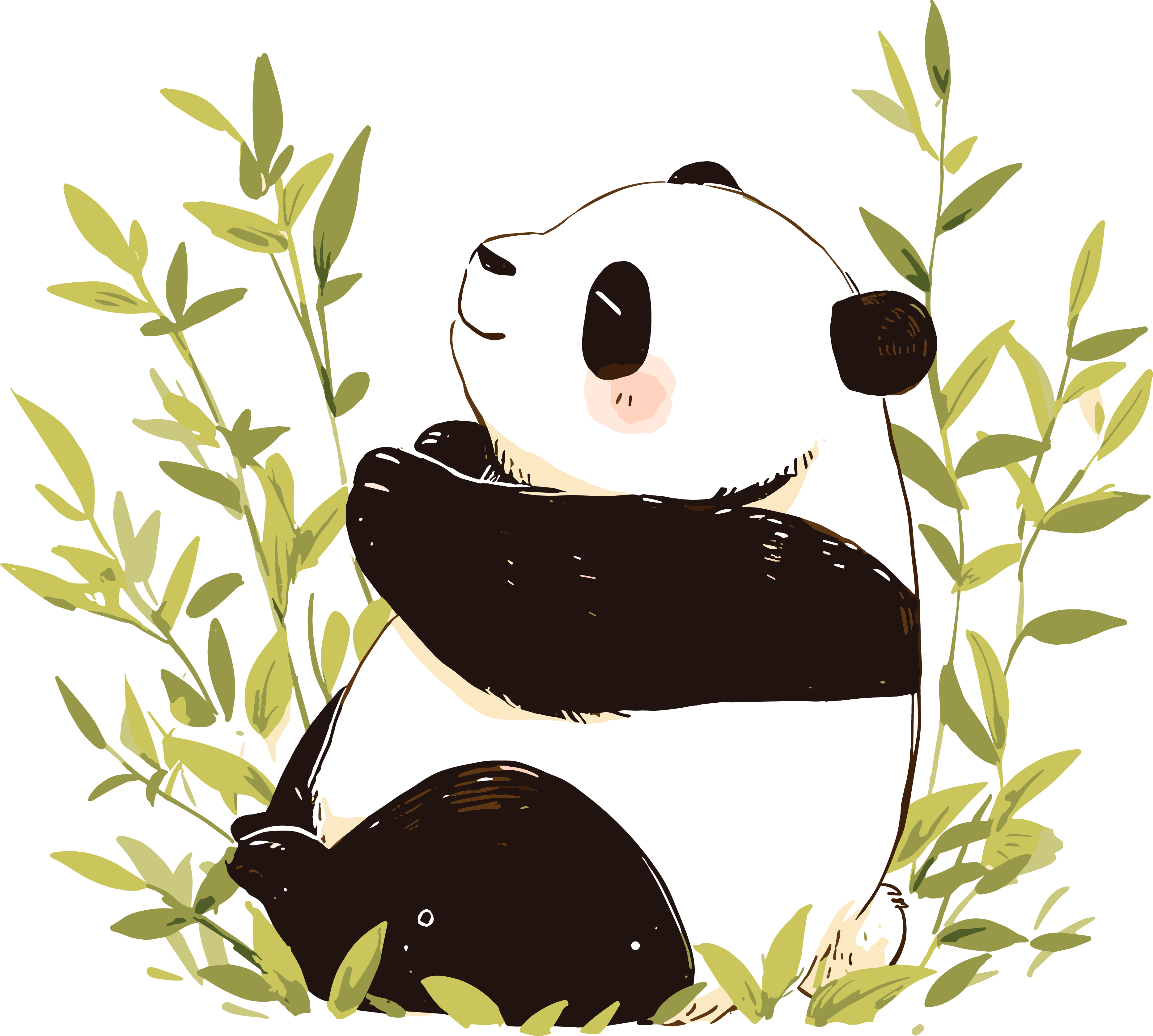 Giant Panda Commercial Illustration