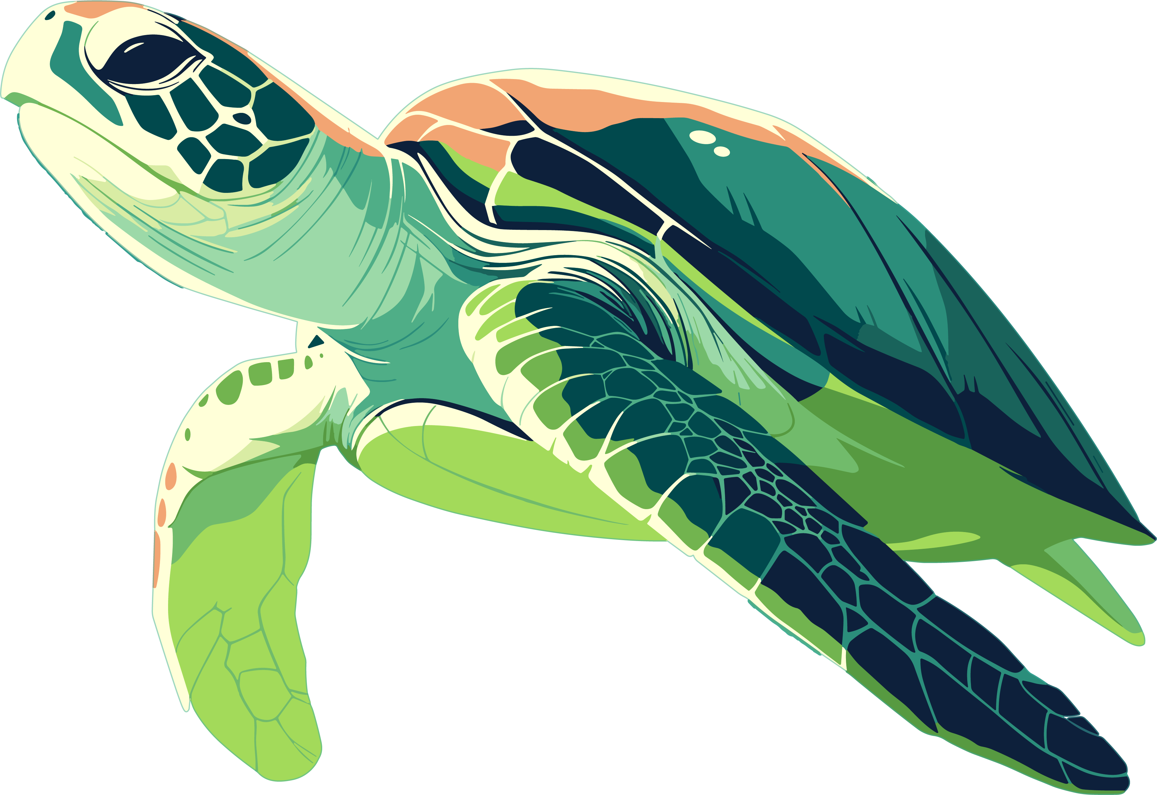Ocean Turtle PNG Material