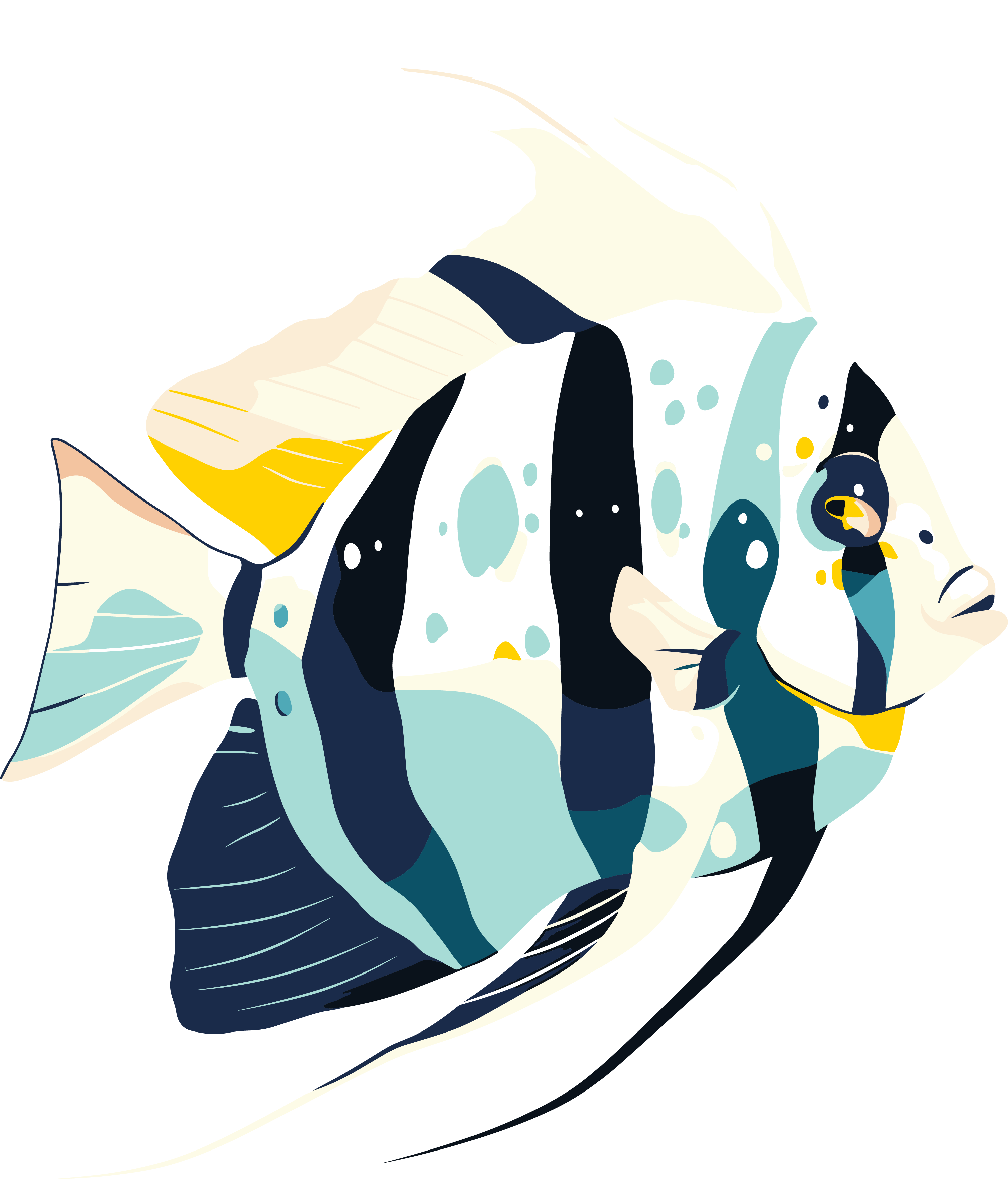 Commercially usable illustrations of marine fish