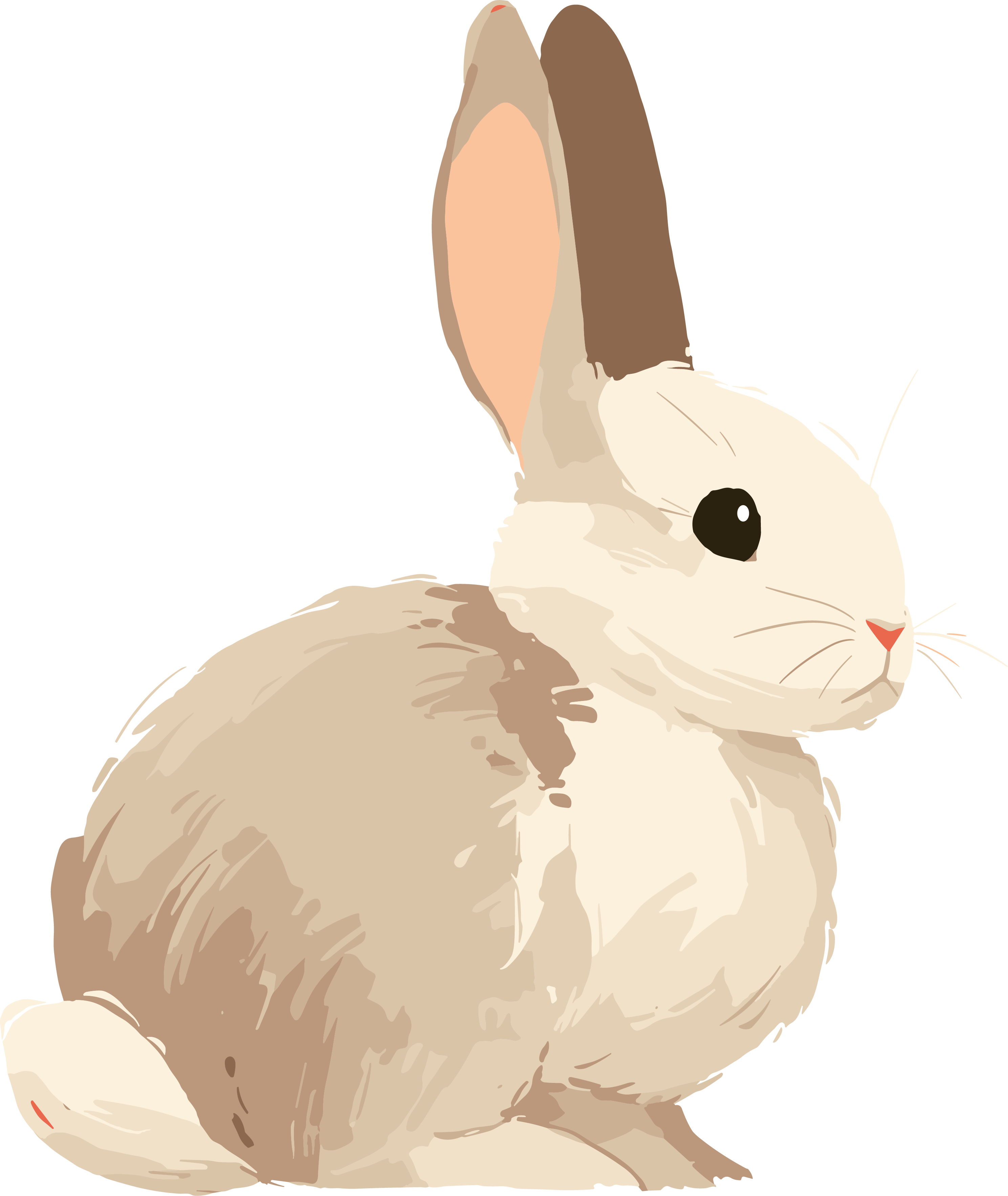 Rabbit doodle illustration