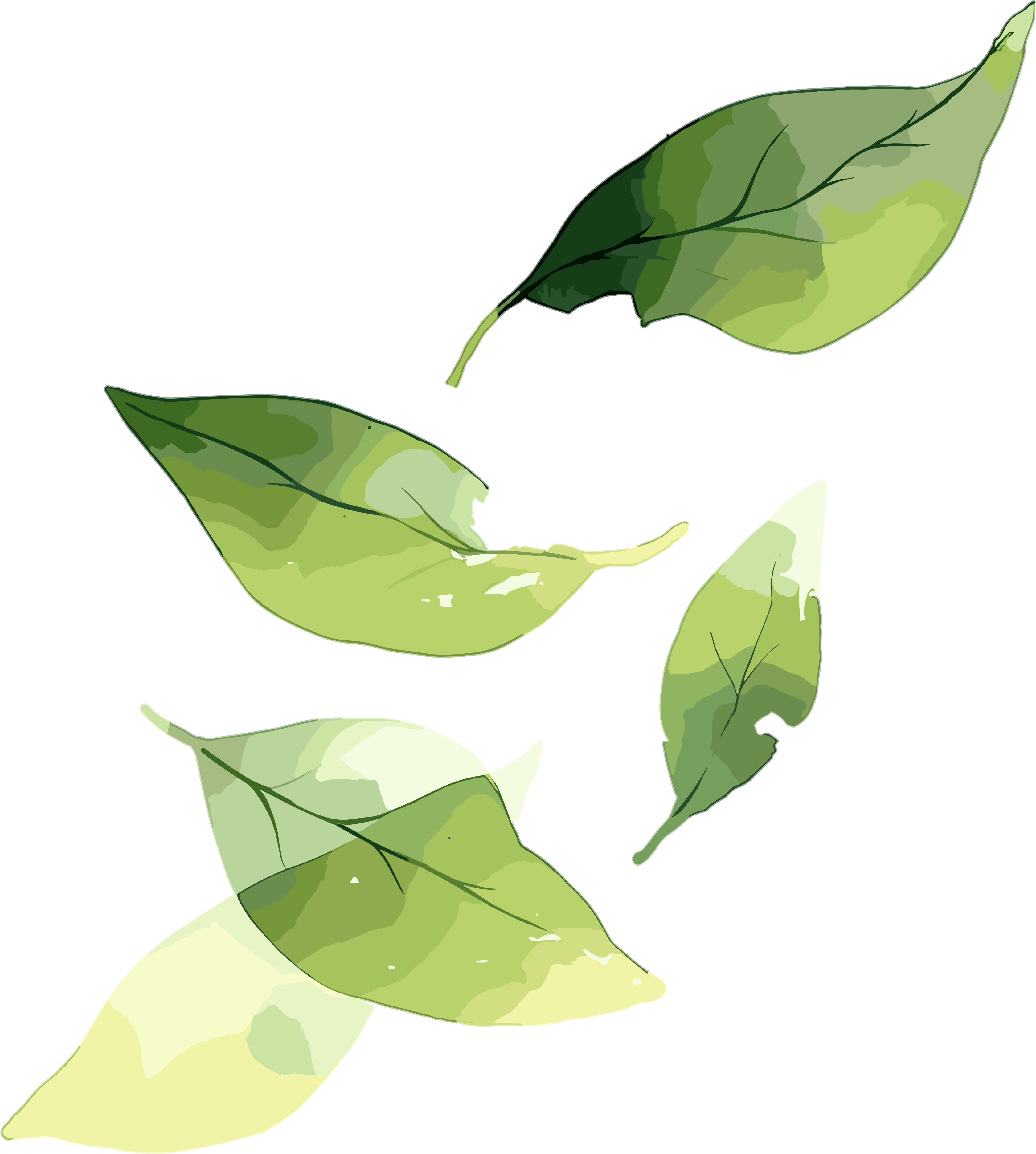 Creative materials for leaves
