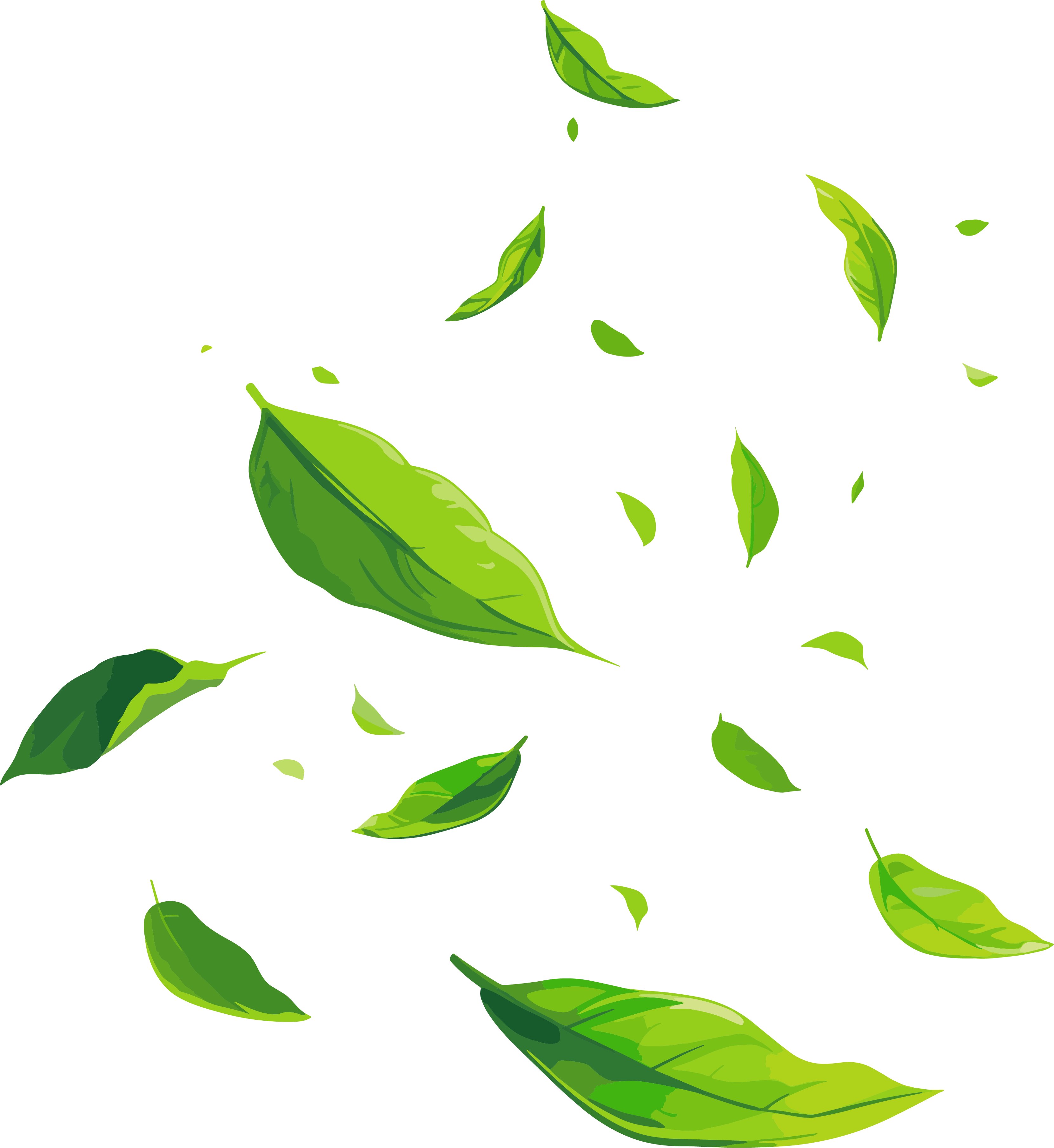 Artistic Illustration of Leaves