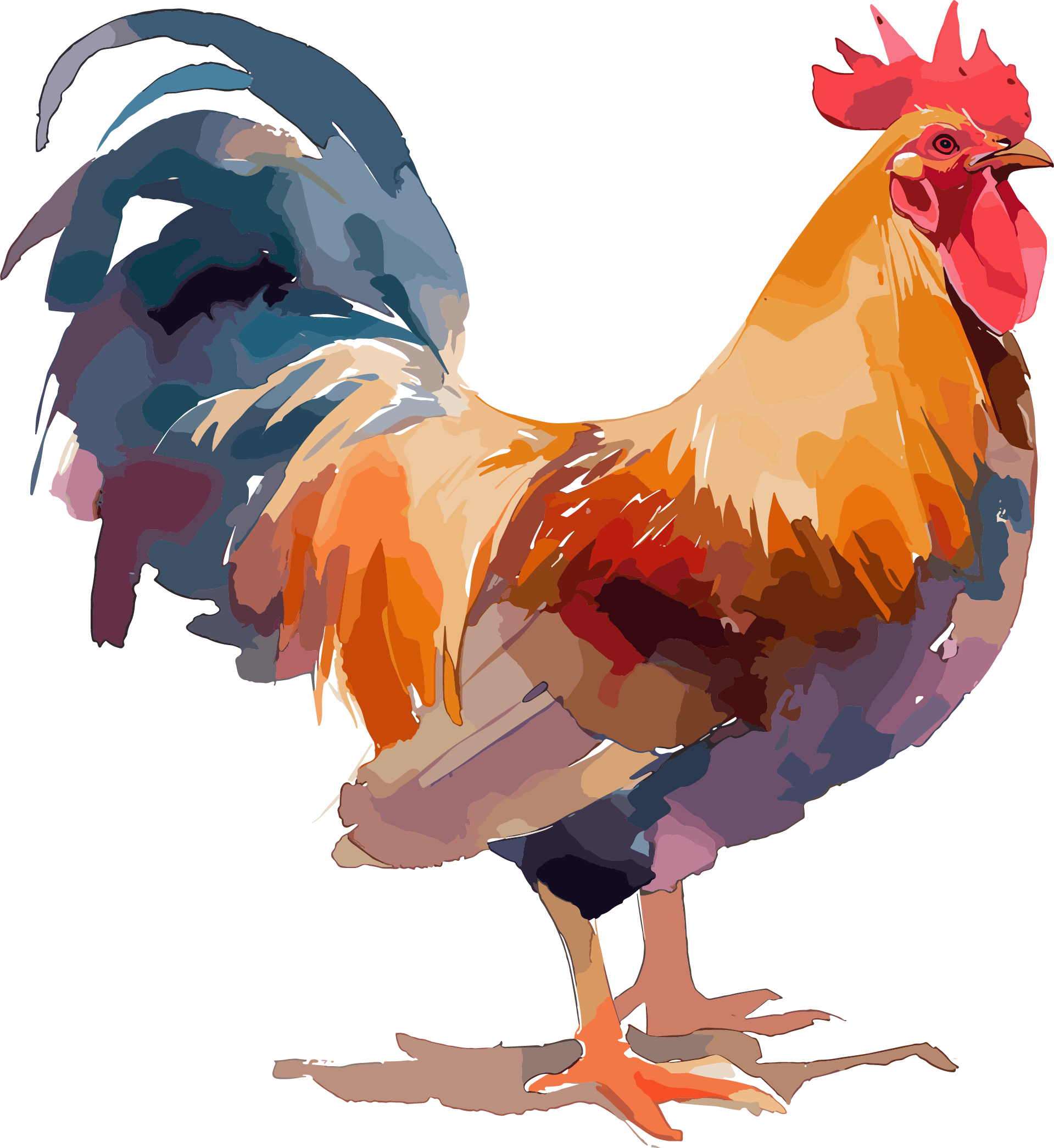Rooster Simple Illustration