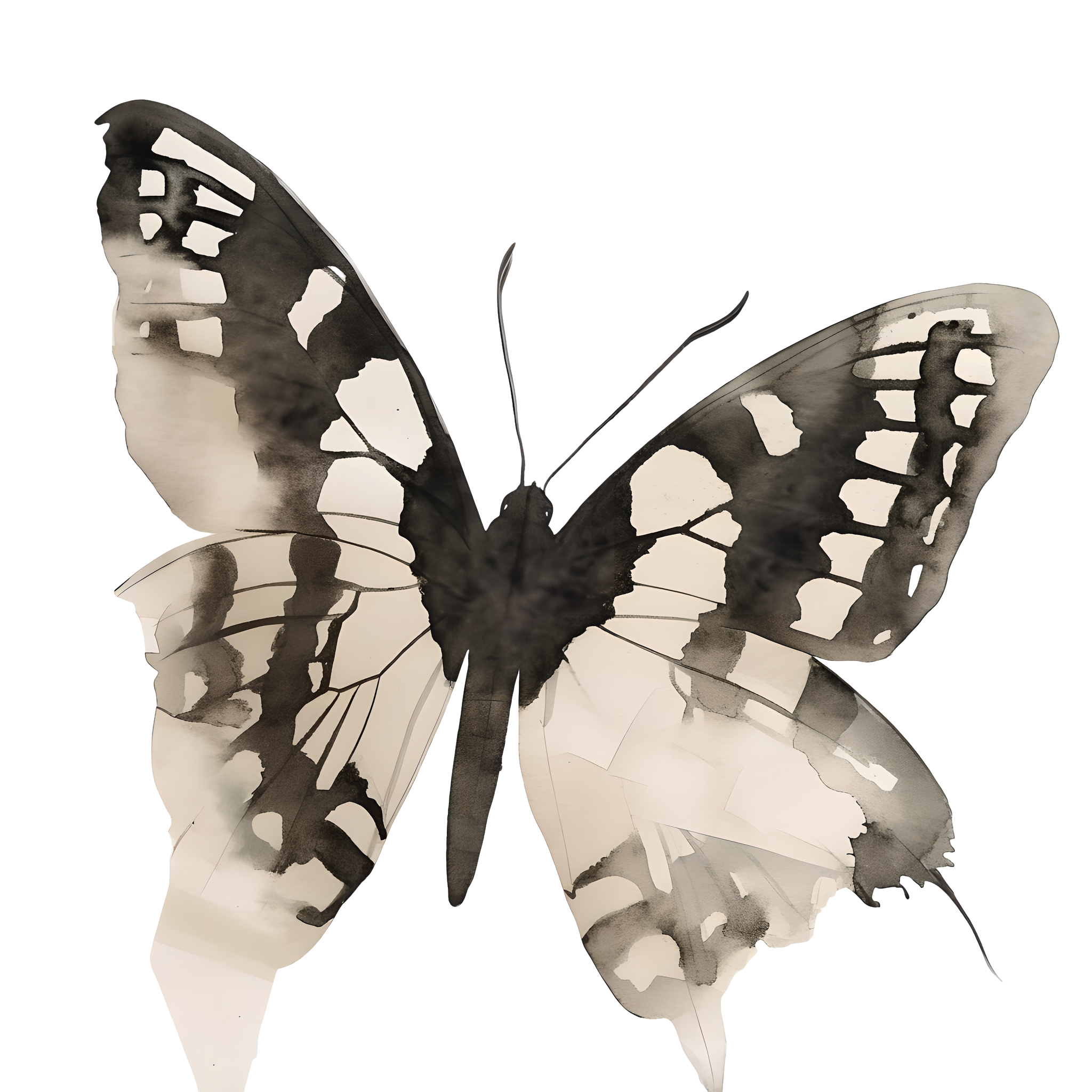 Black and white butterfly sticker retro elements