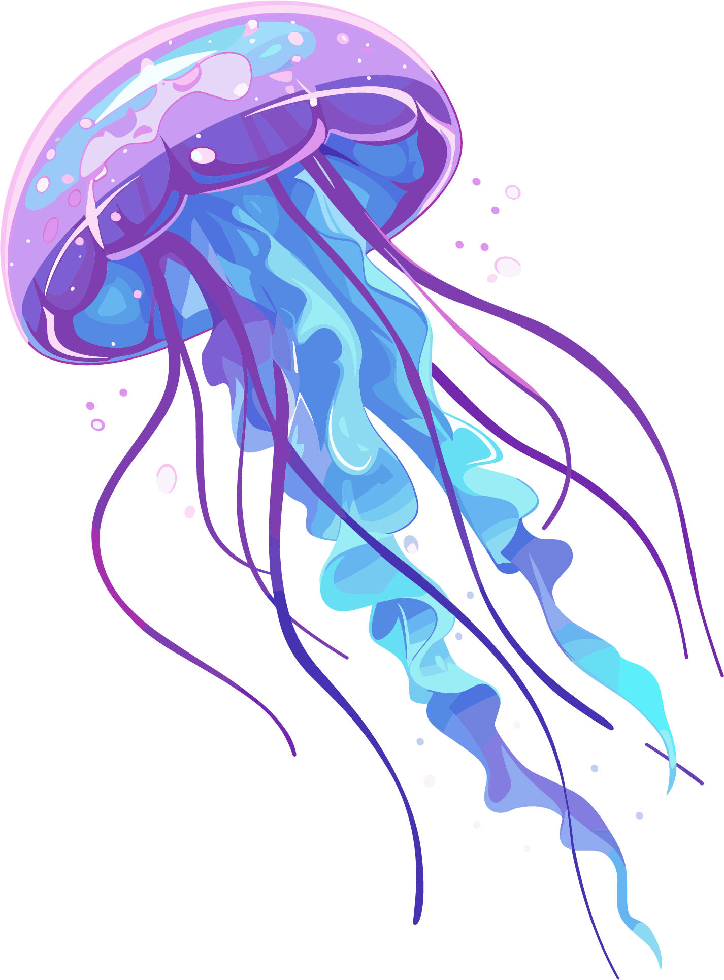 Jellyfish graphic material