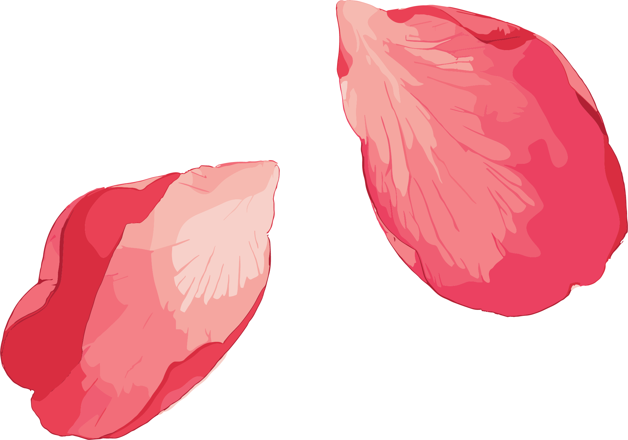 Petal Sticker Watercolor Material