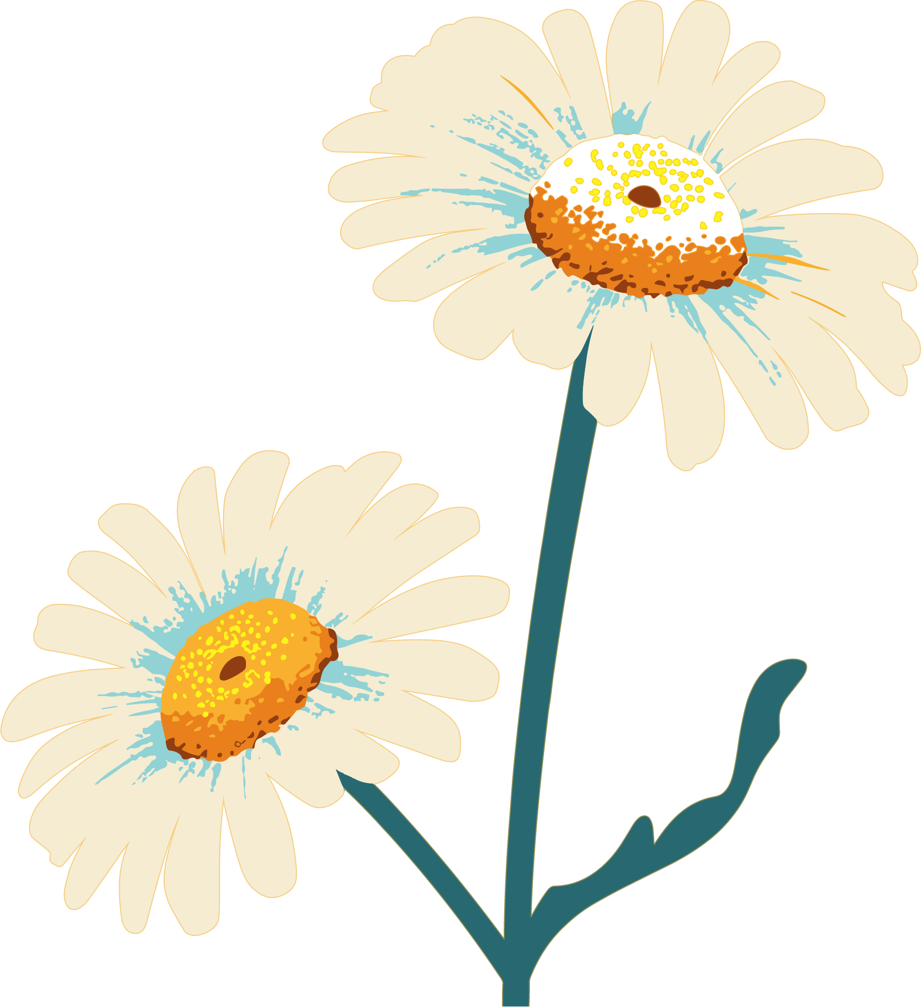 Two daisy materials