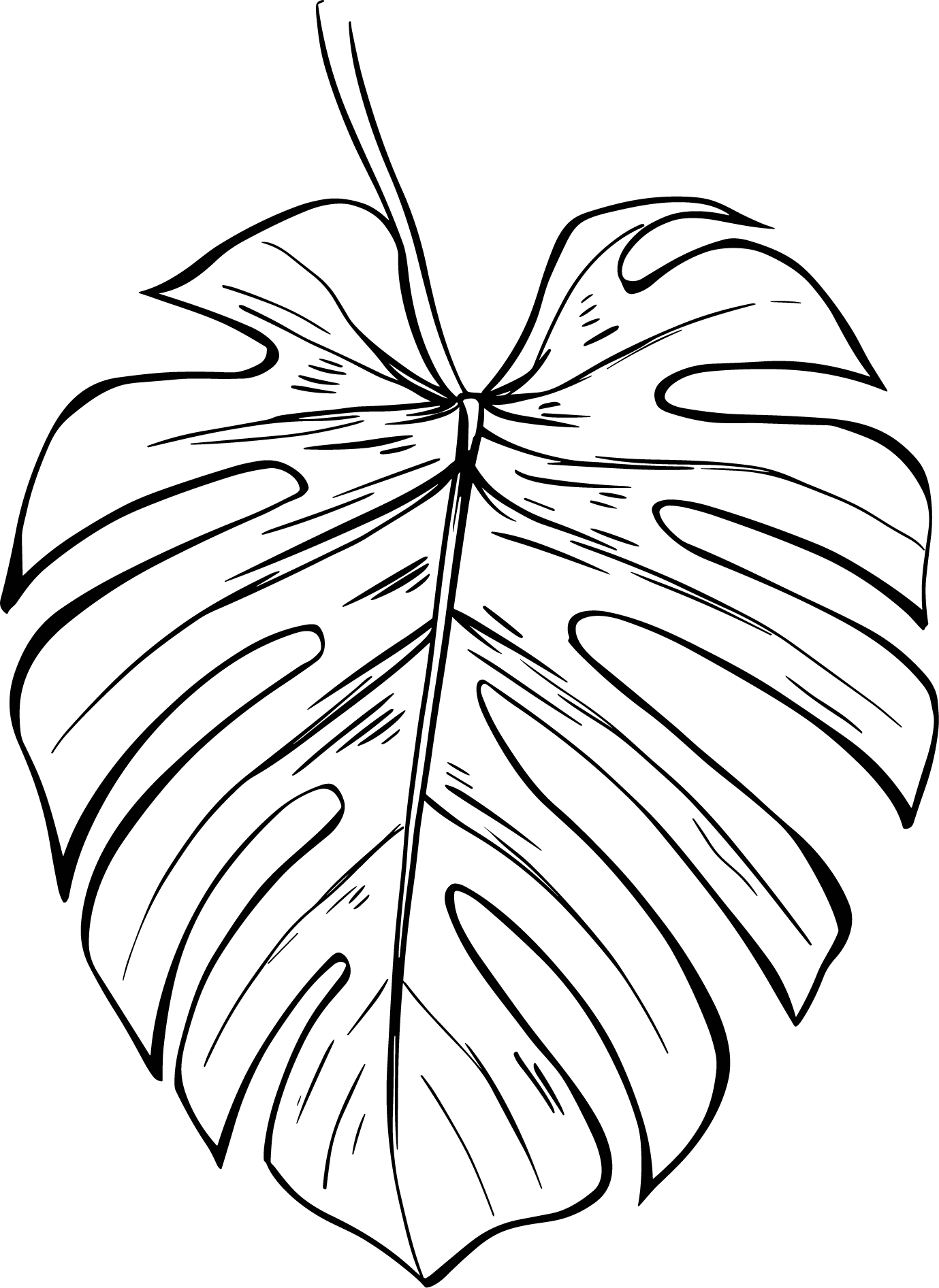Illustration of plant leaves with lines