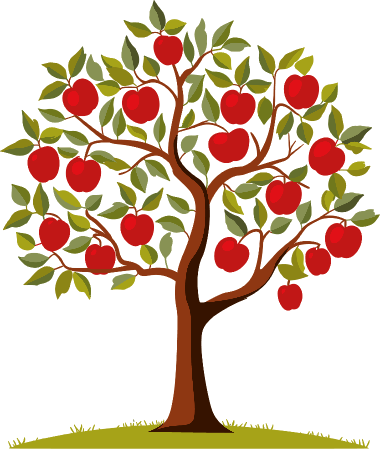 Apple tree sketch material