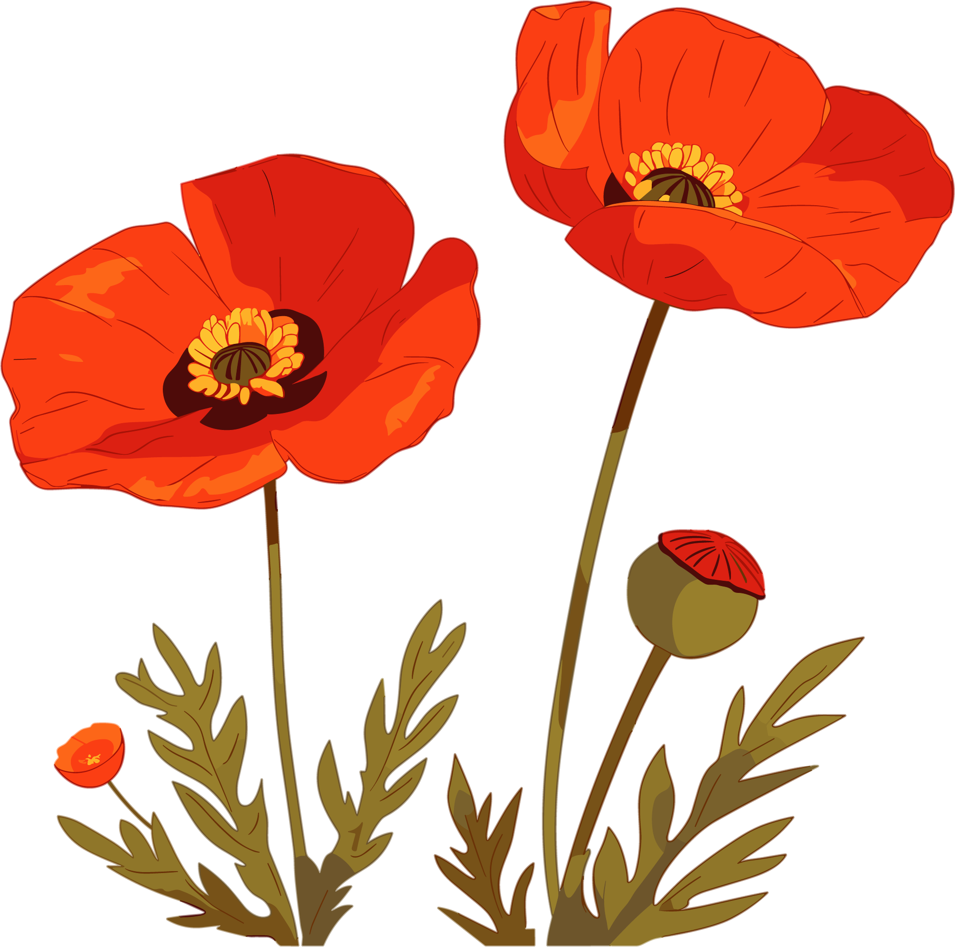 Anti-drug Poppy Flower Vector Illustration