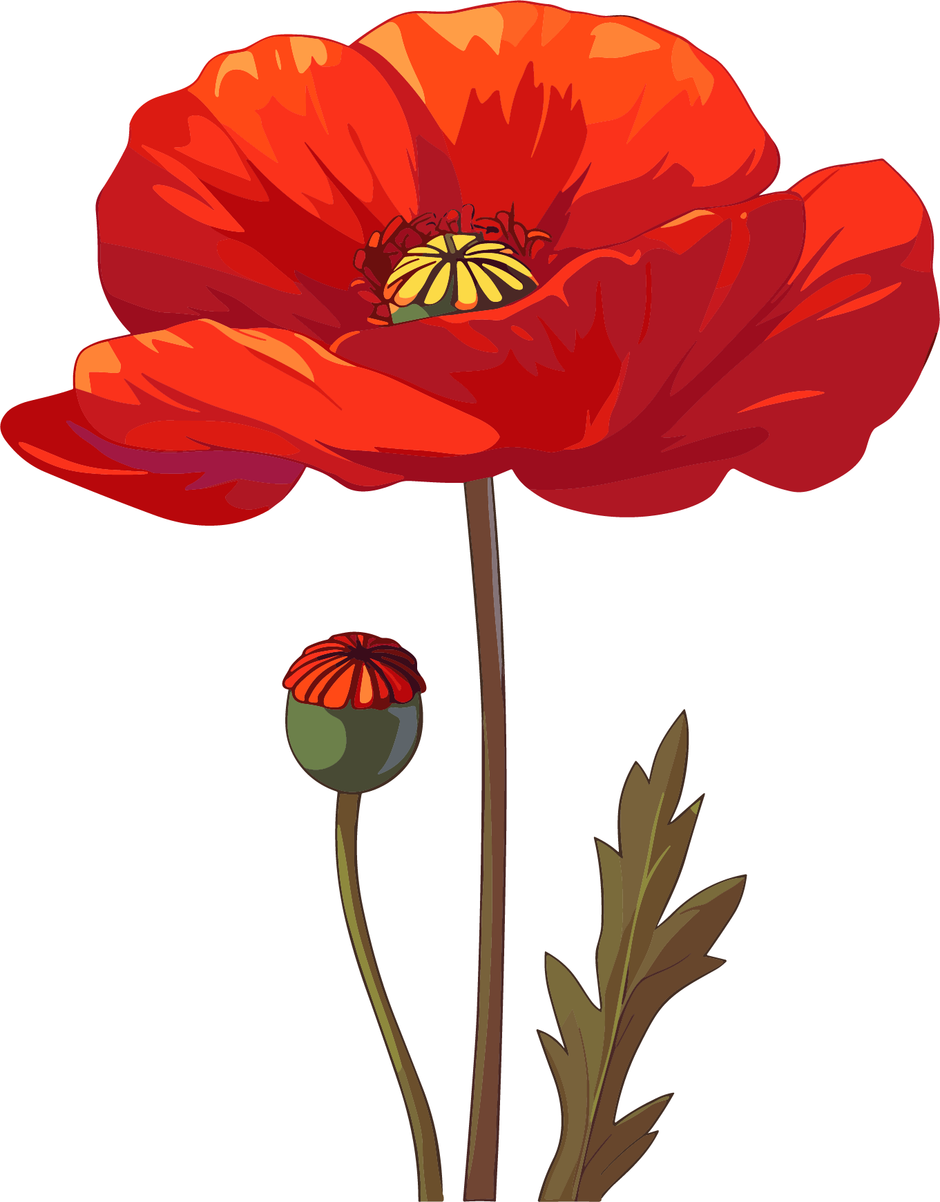 Red illustration of anti-drug poppy flower