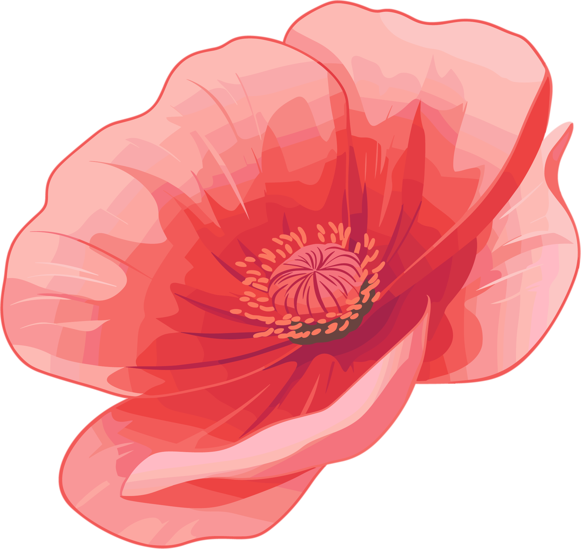 Cartoon illustration of anti-drug poppy petals