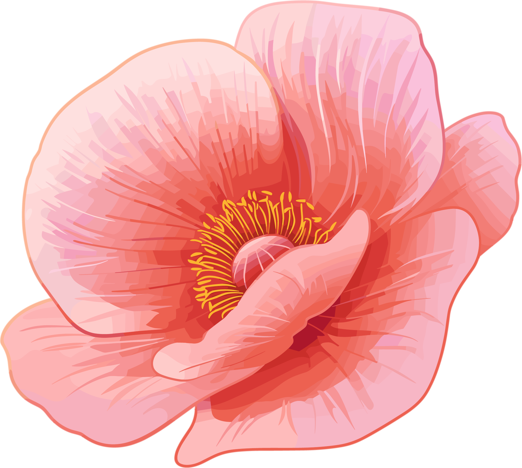 Illustration of anti-drug poppy petals