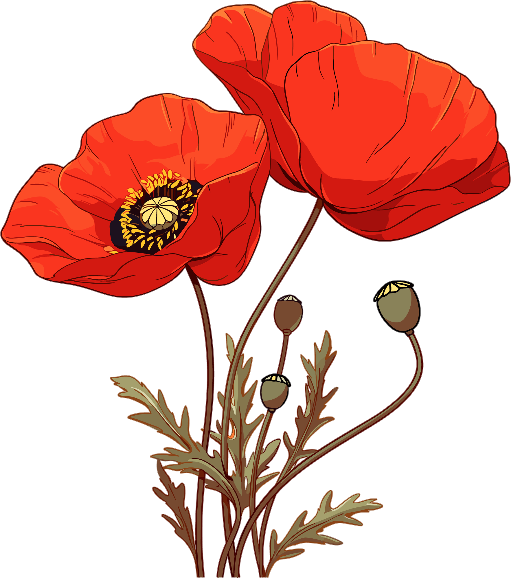 Anti-drug Poppy Flower Material