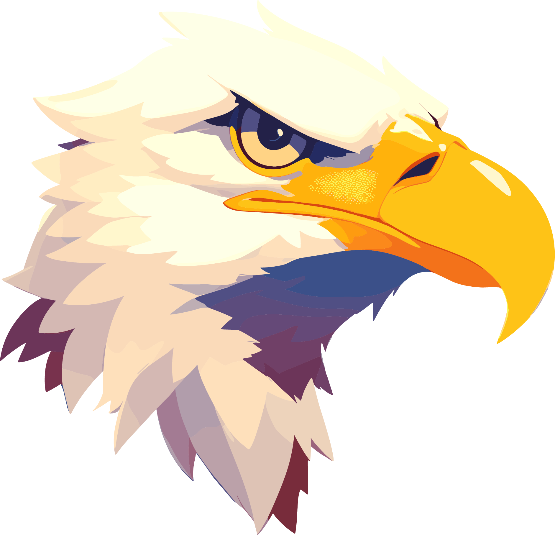 Eagle illustration eagle head material