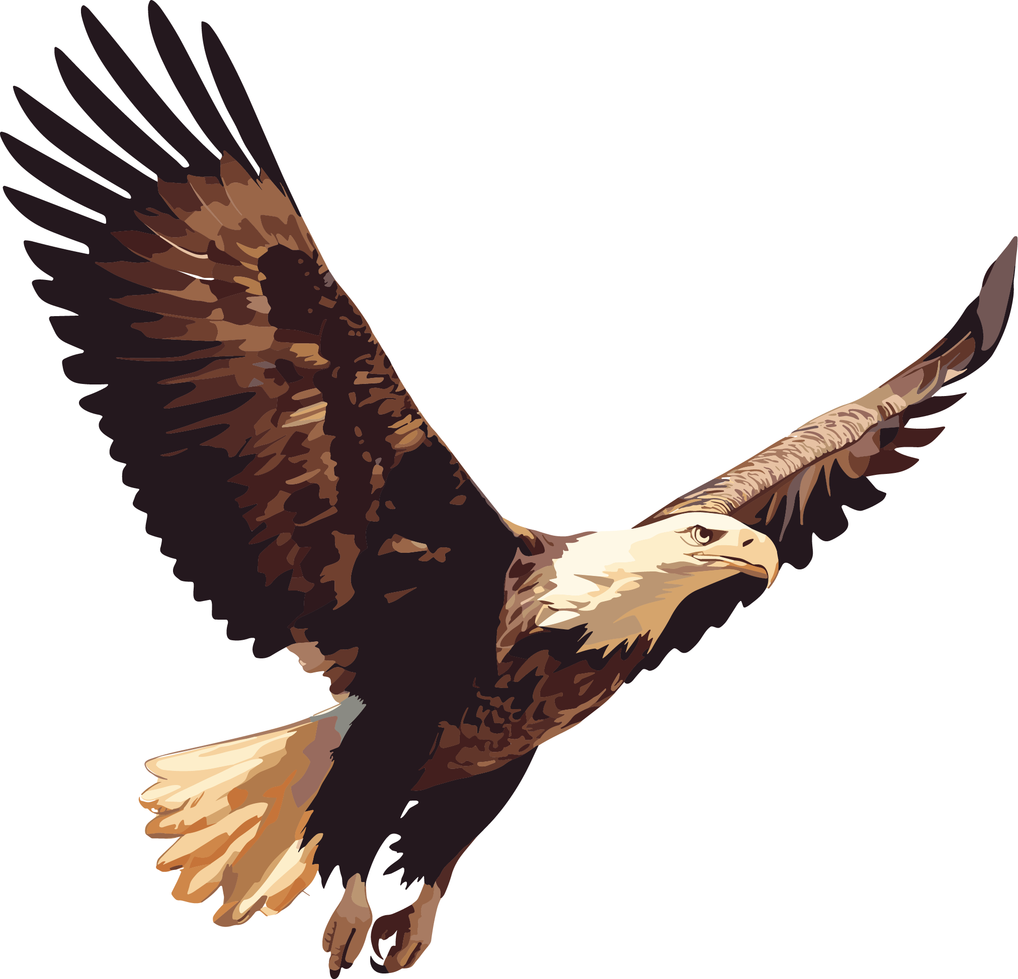 Eagle cartoon illustration materials