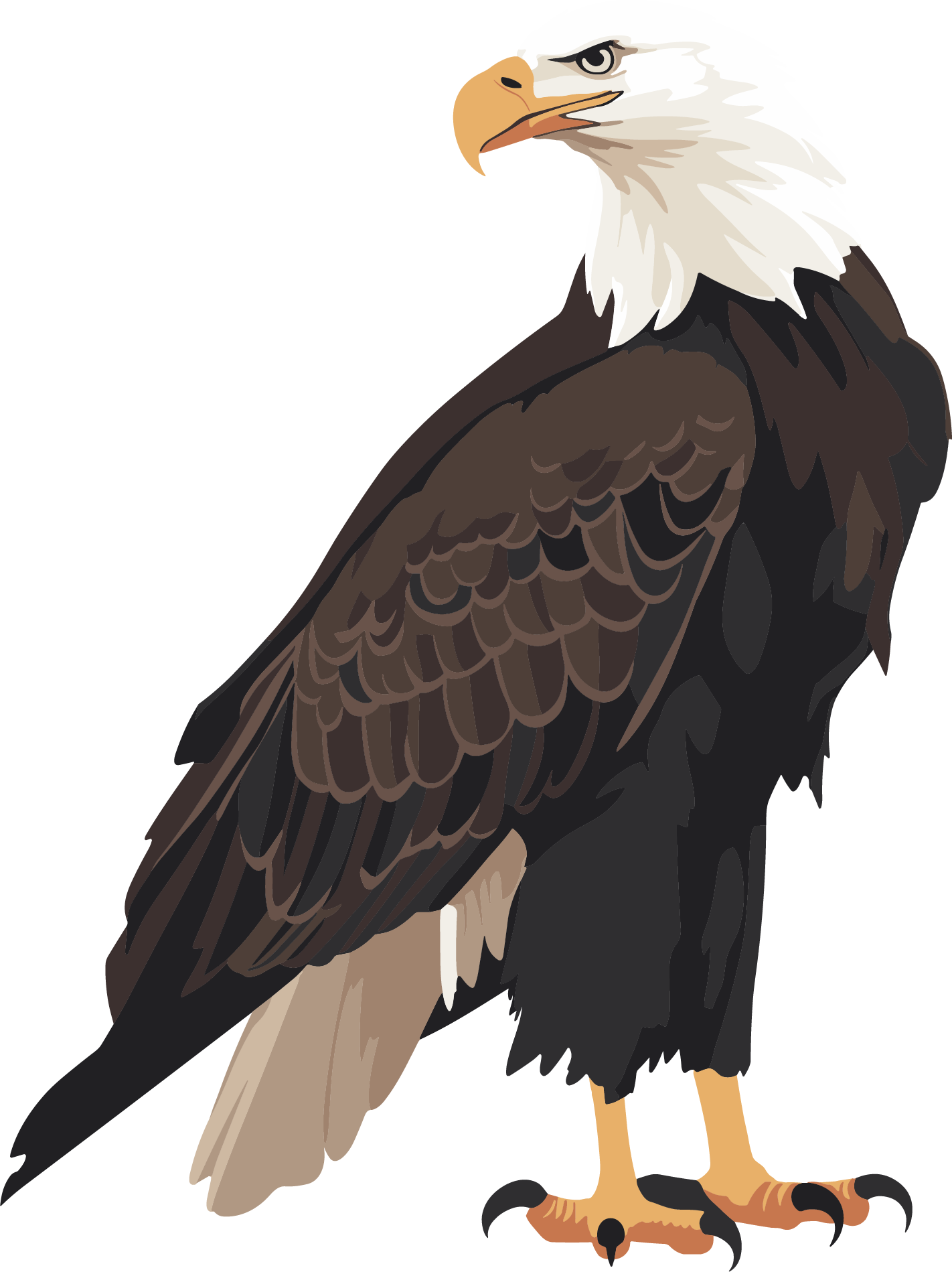 Simple and Cute Illustration of an Eagle