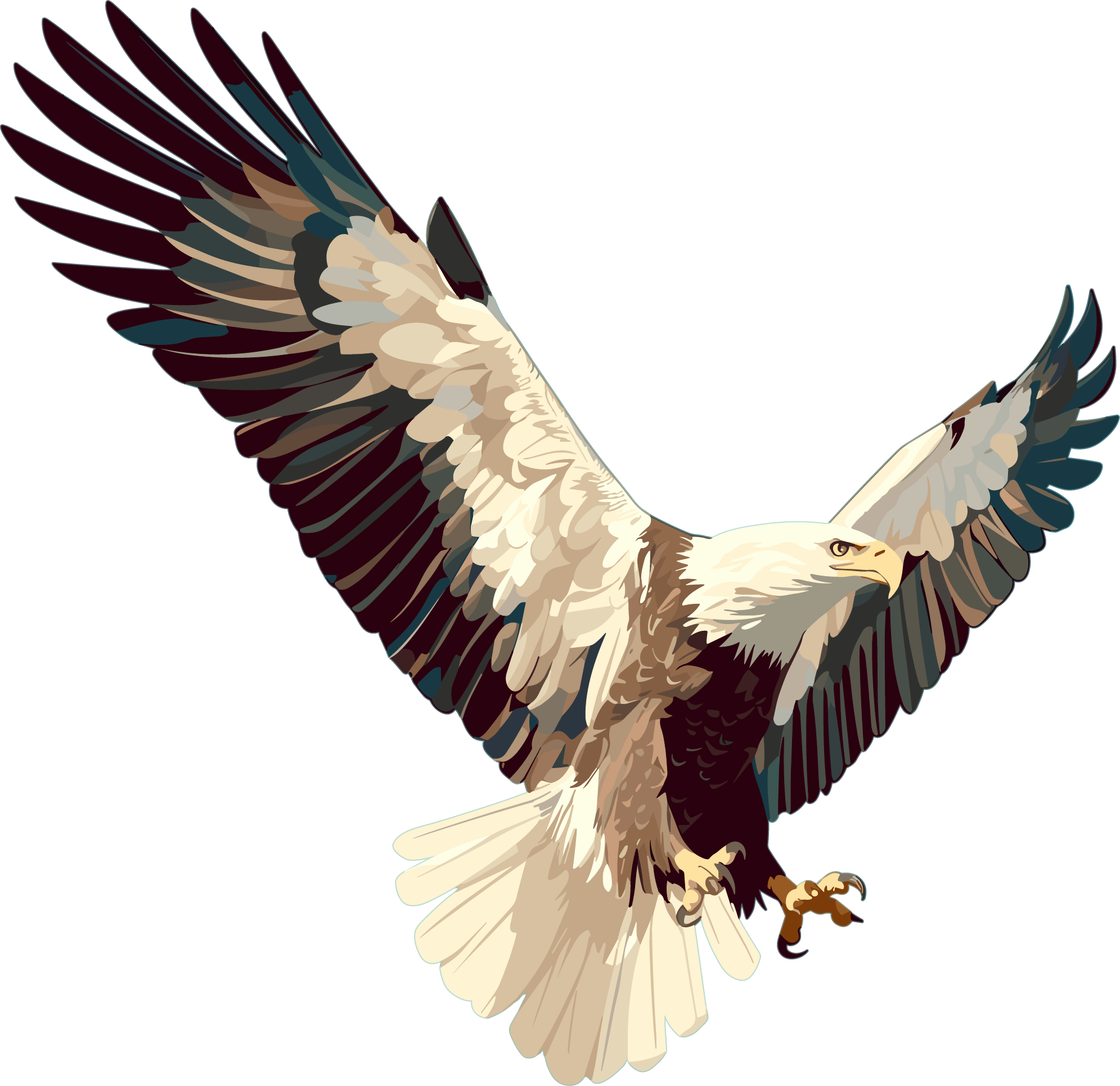 Eagle graphic material