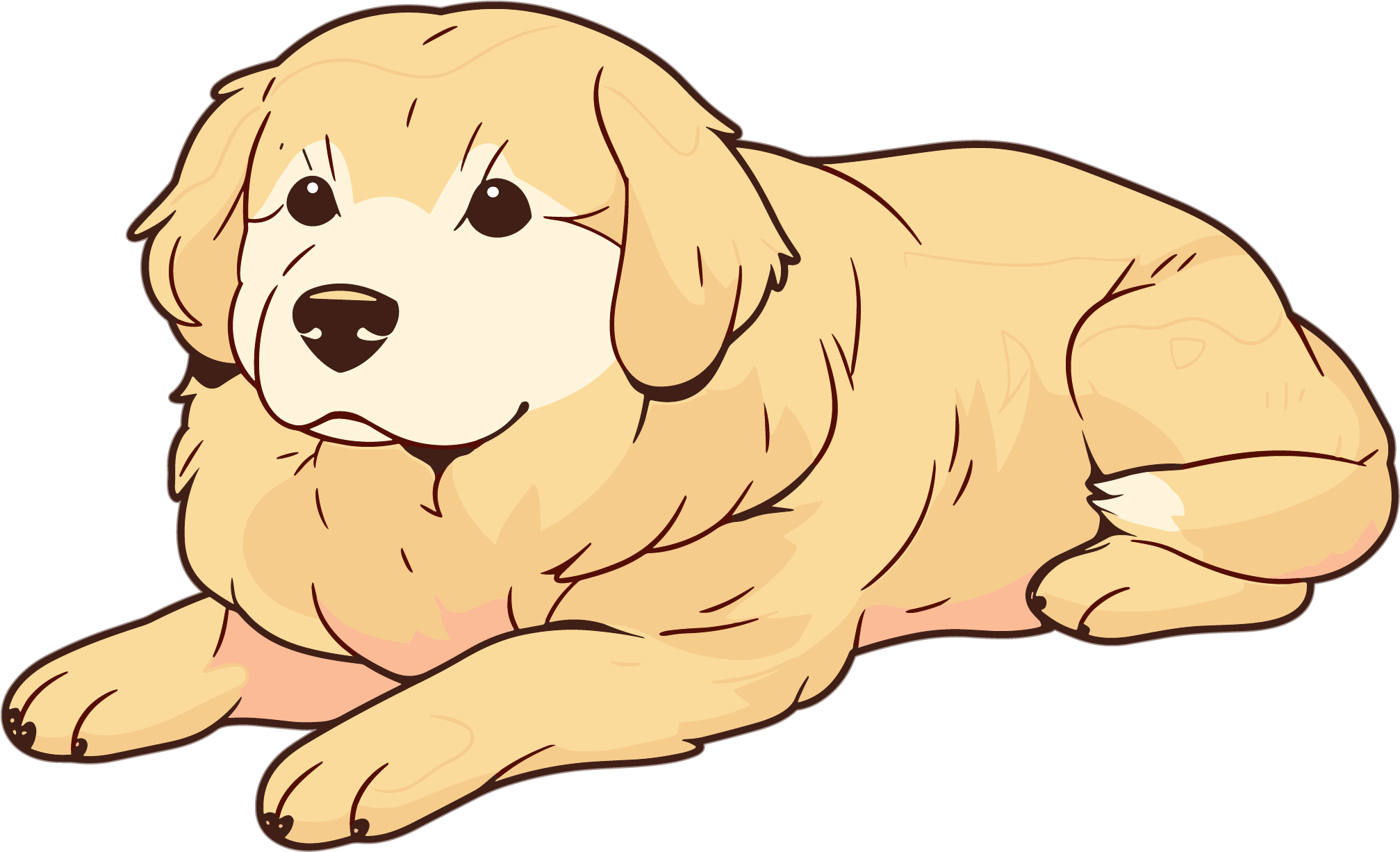 Illustration of a Labrador puppy
