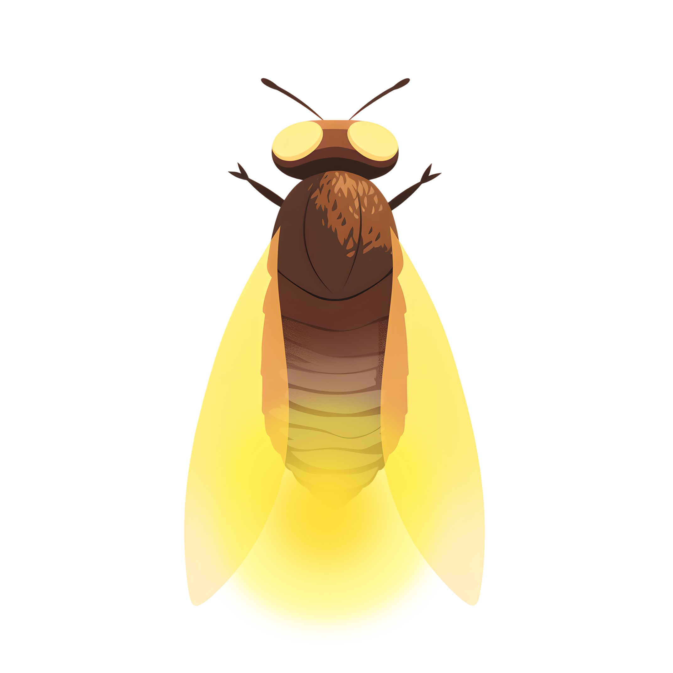 Firefly illustration material