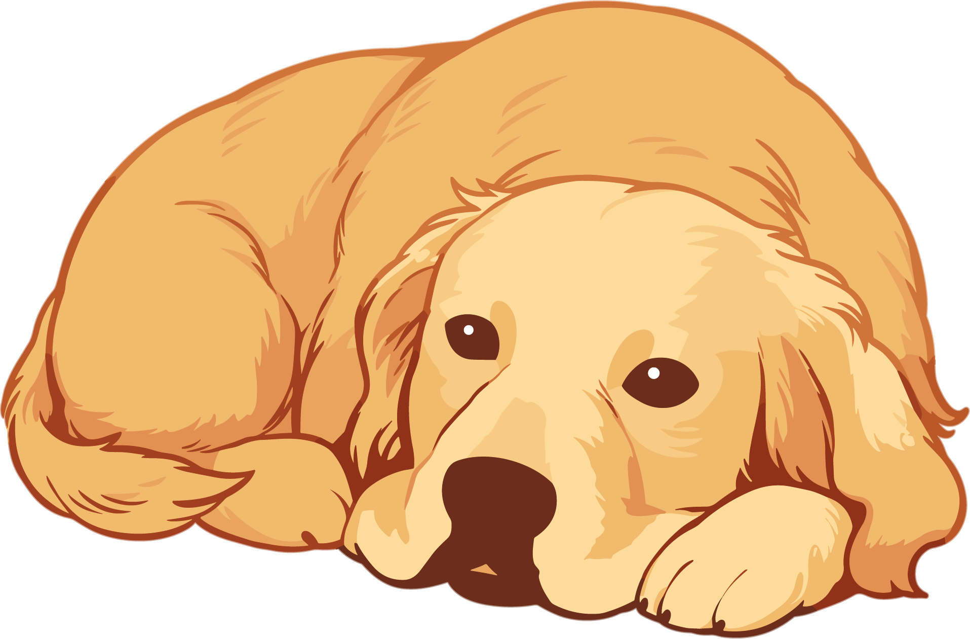 Simple dog drawing material