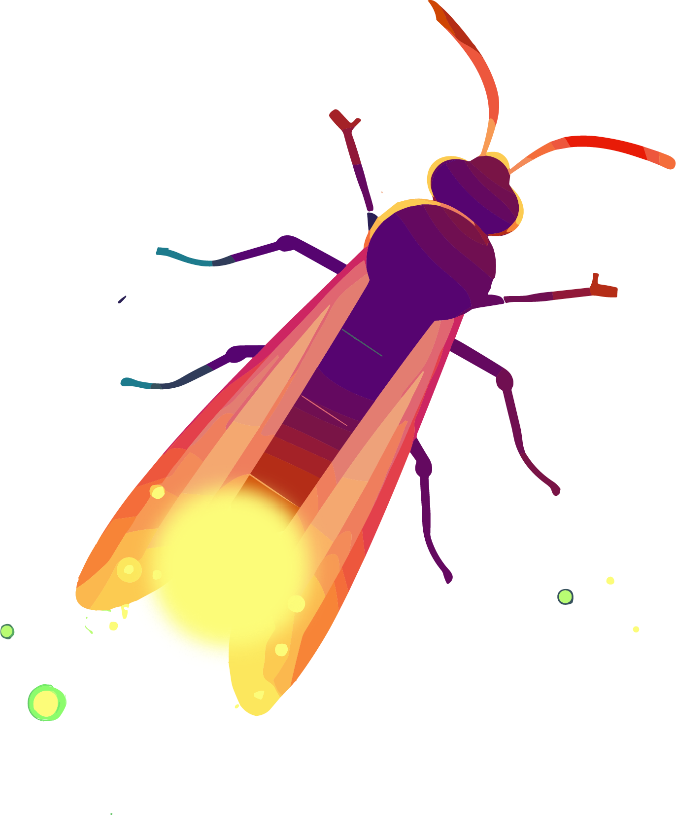 Firefly Commercial Design Elements