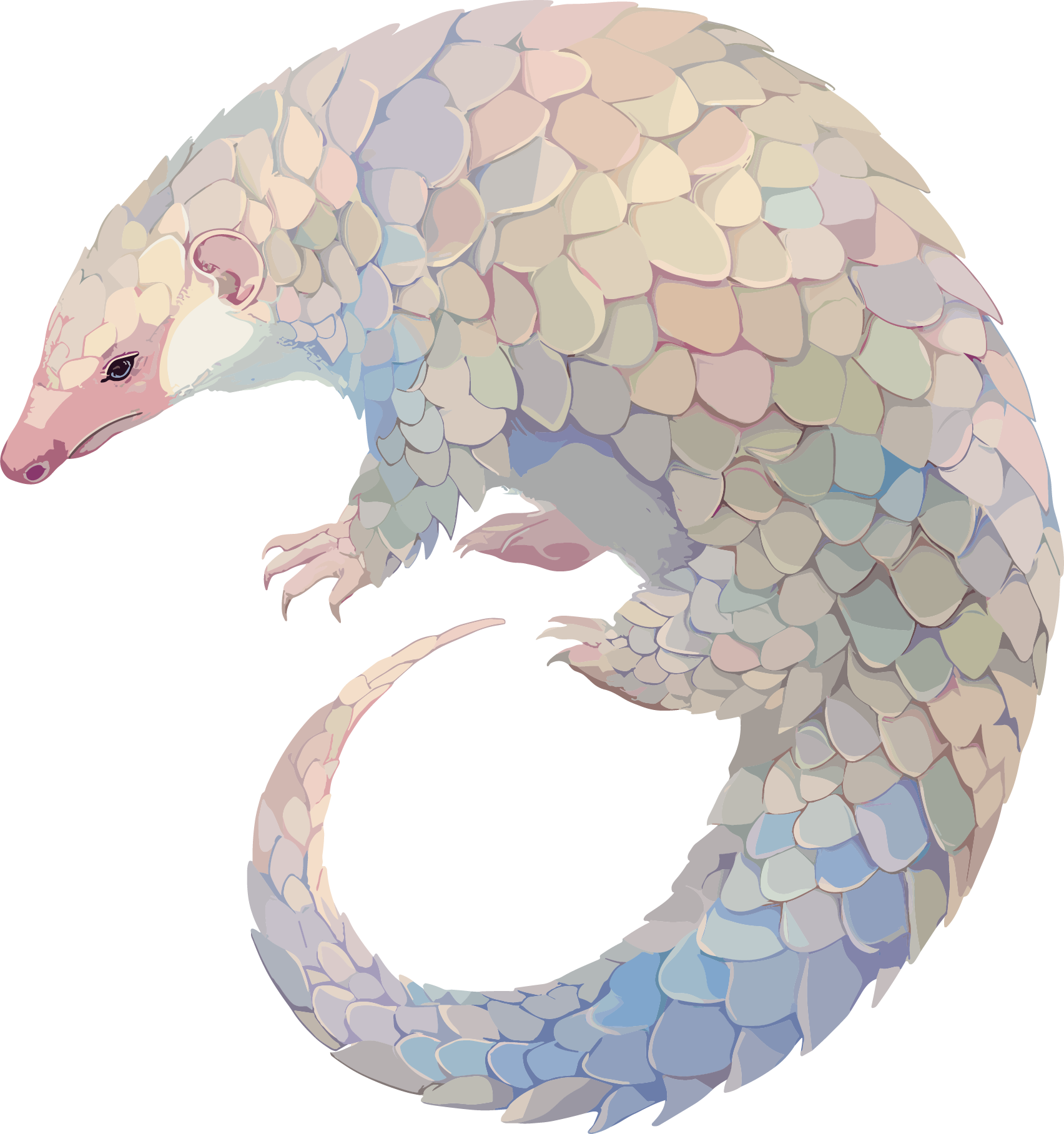 Pangolin Rare Animal Illustration